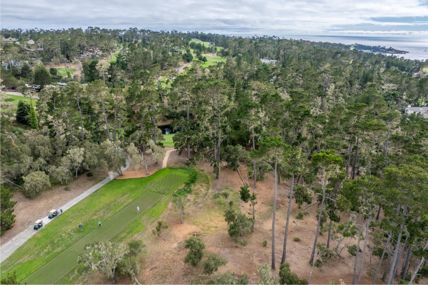 Pebble Beach, California, 93953, United States, ,Land,For Sale,1903523