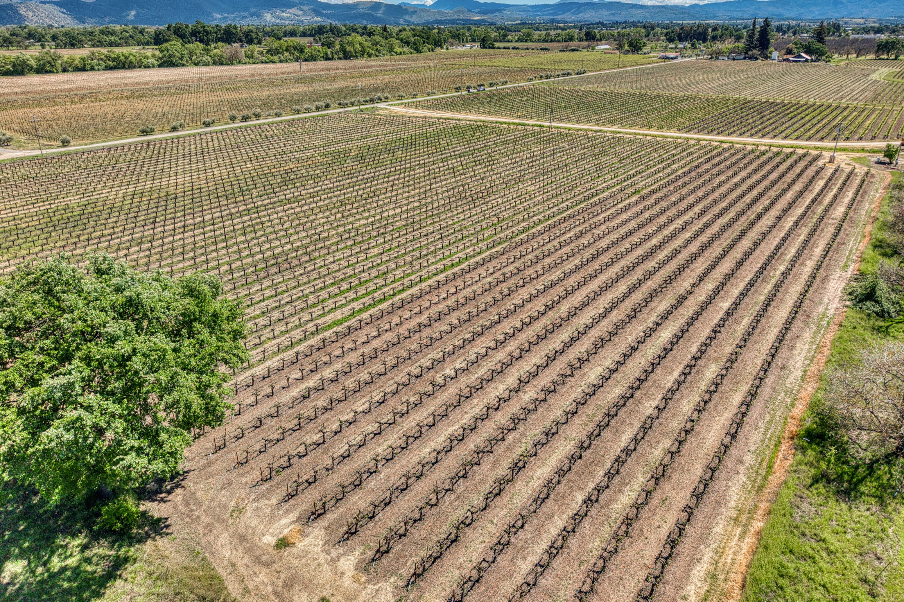  Lake County: The Place to Be - 物件實景