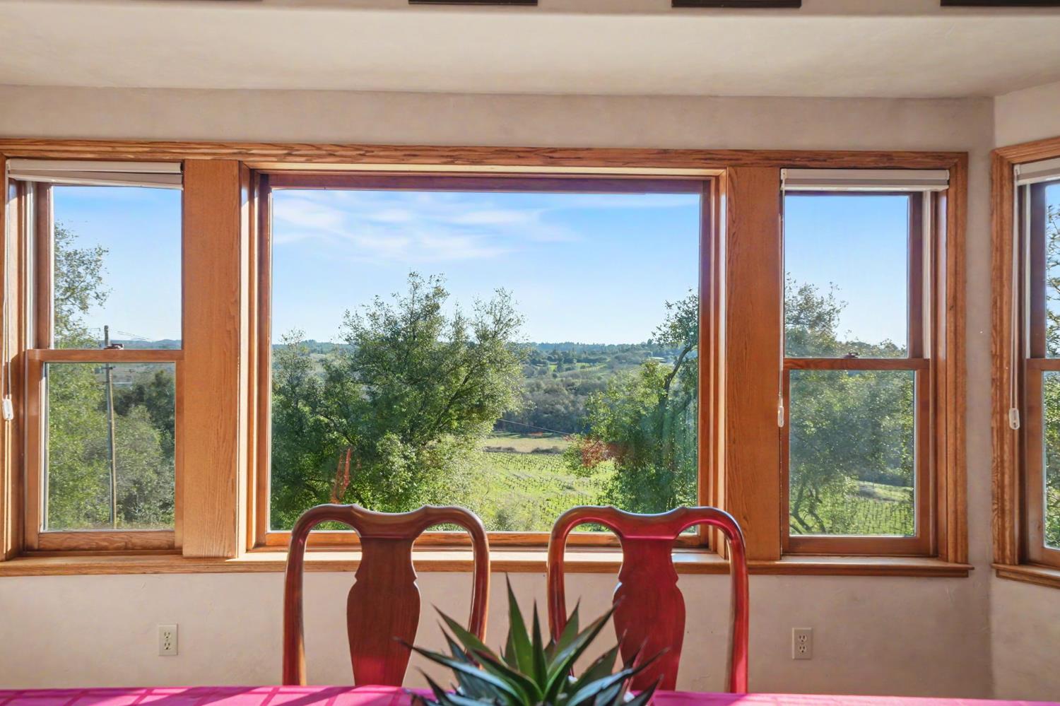 Plymouth, California, 95669, United States, 3 Bedrooms Bedrooms, ,3 BathroomsBathrooms,Residential,For Sale,1979143