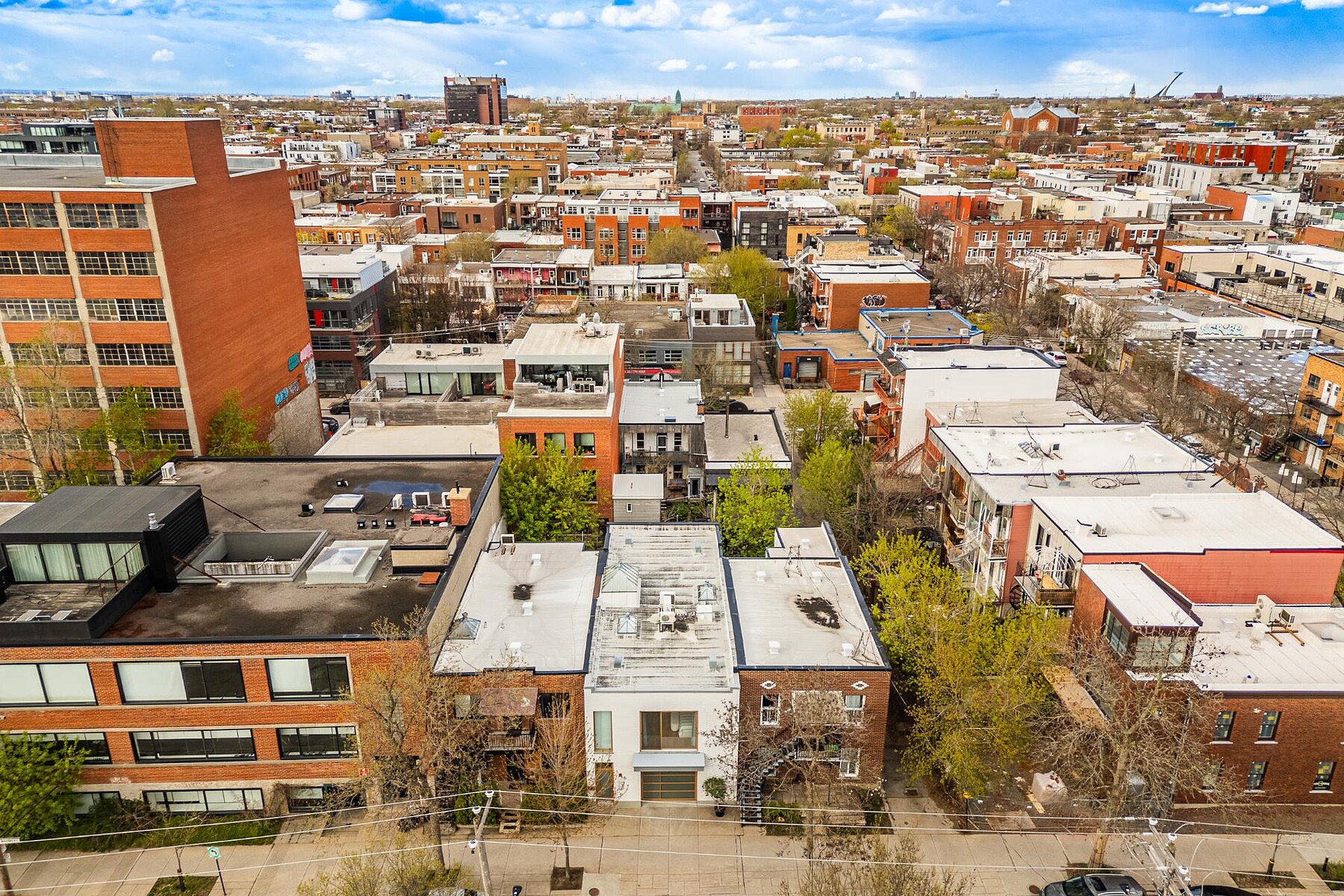  Rosemont / La Petite-Patrie, Montréal - 物件實景