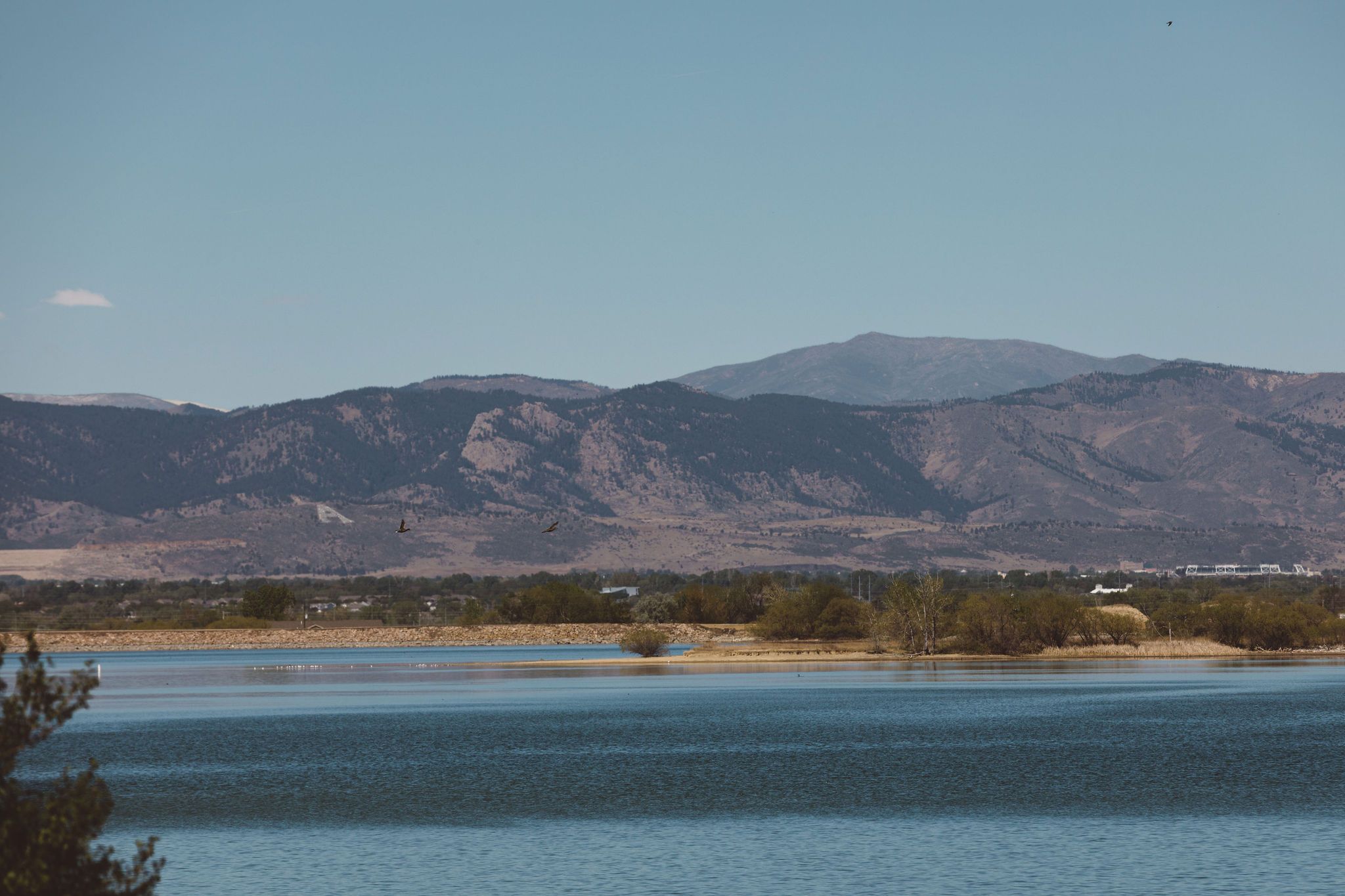  3251 Boundless Ln, Timnath, CO, 80547 - 物件實景