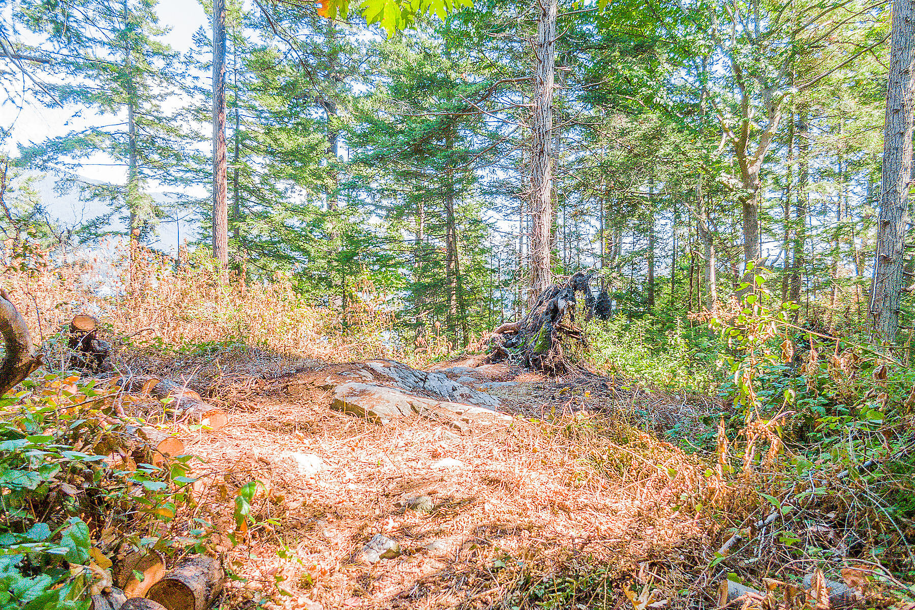  West Vancouver, Greater Vancouver - 物件實景