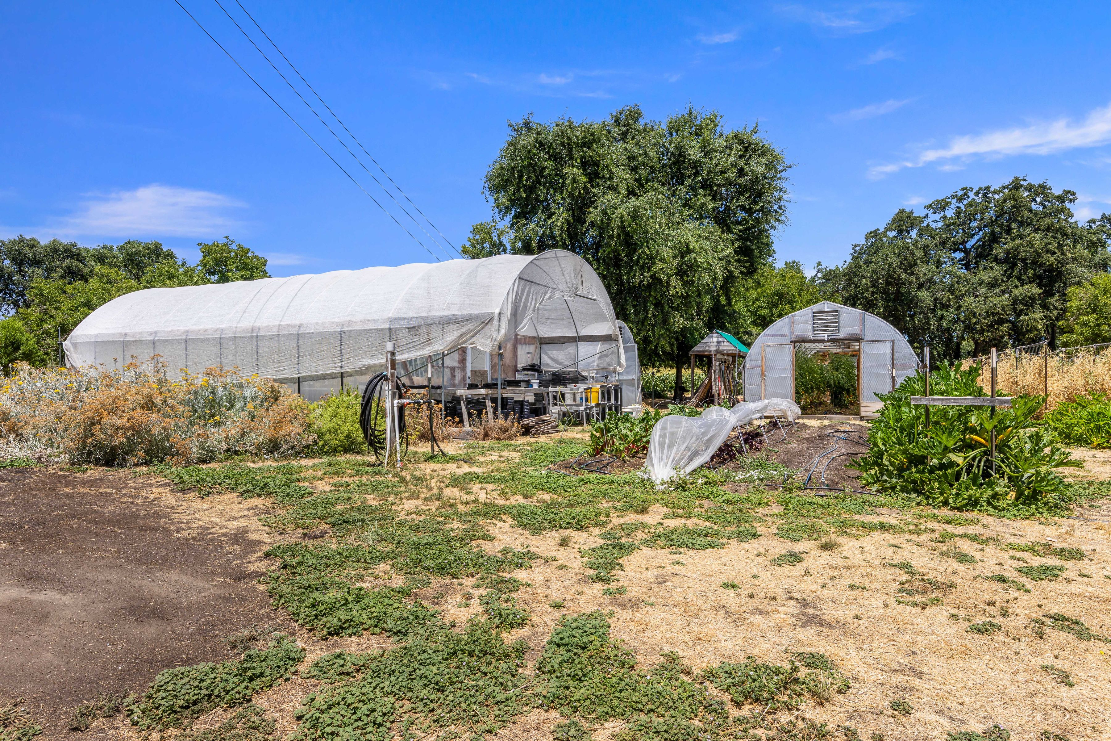  Peace and Plenty Farm - 物件實景