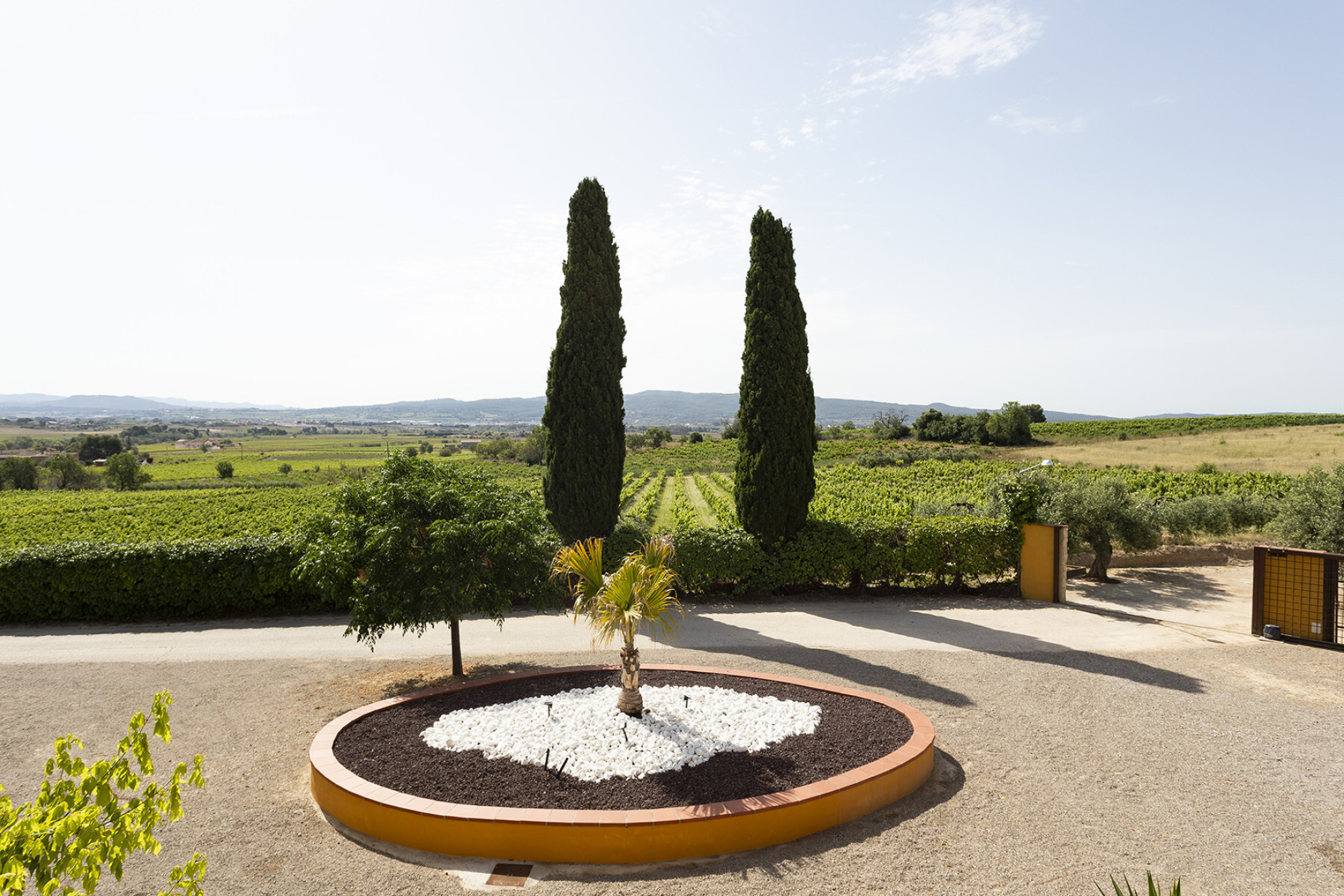  Equestrian Rural Gem in Castellví de la Marca, Only 5 Minutes from Vilafranca - 物件實景