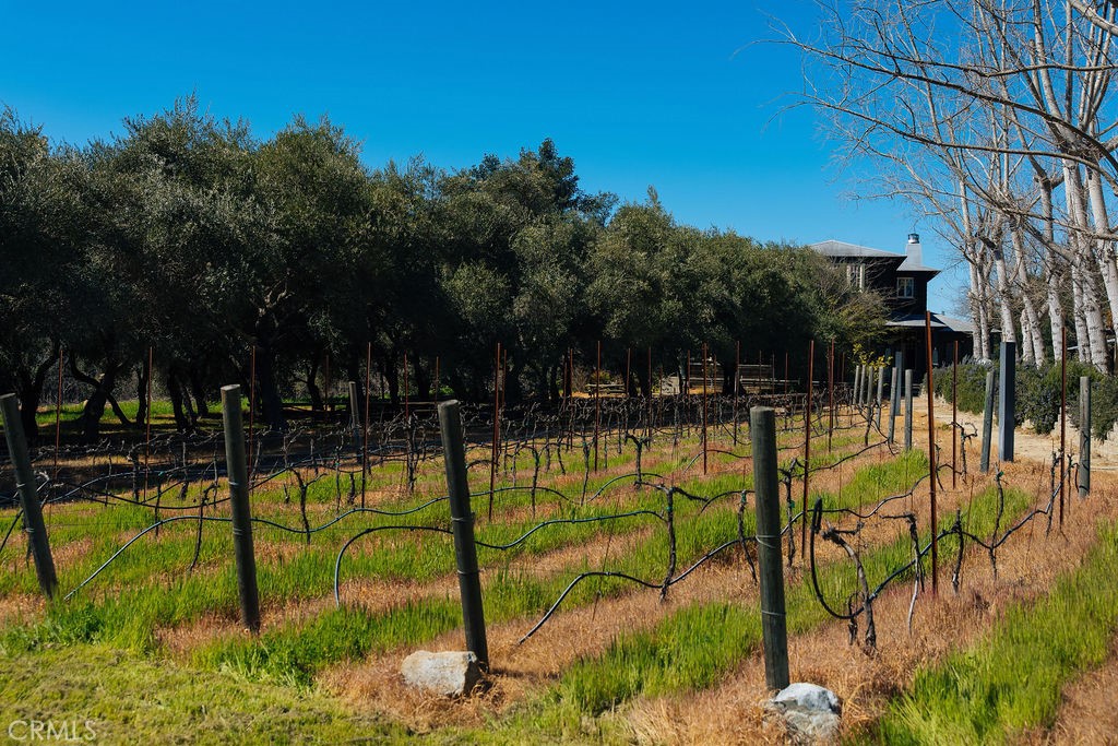 St. Helena, California, 94574, United States, ,Residential,For Sale,1737309