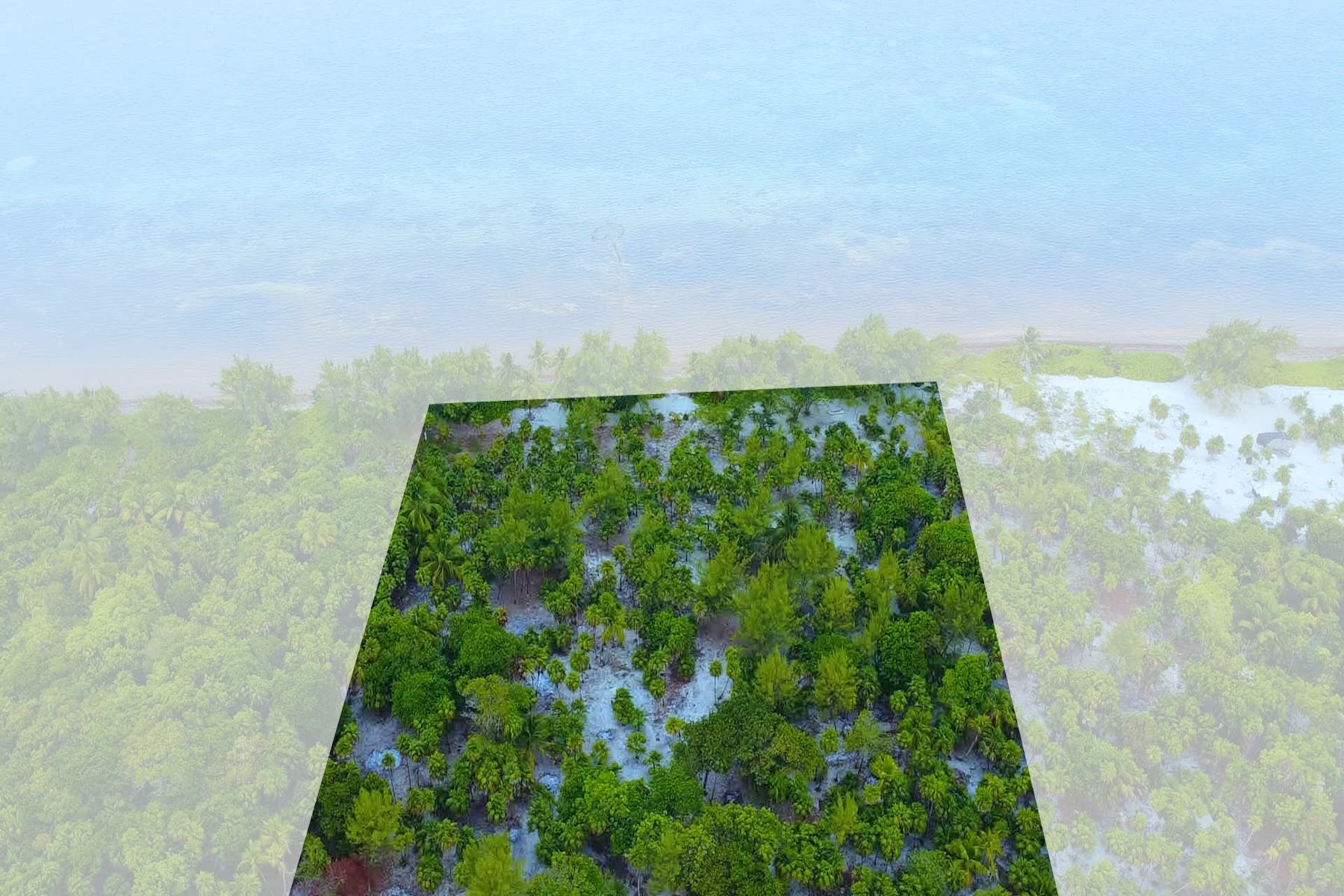  Viridiana Reserve: Beachfront Macro-lot in a Prime Location - 物件實景