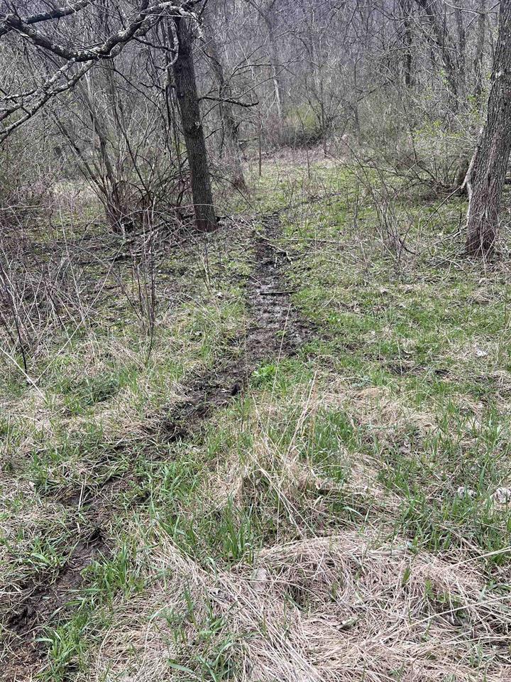 Ferryville, Wisconsin, 54628, United States, ,Land,For Sale,1987419