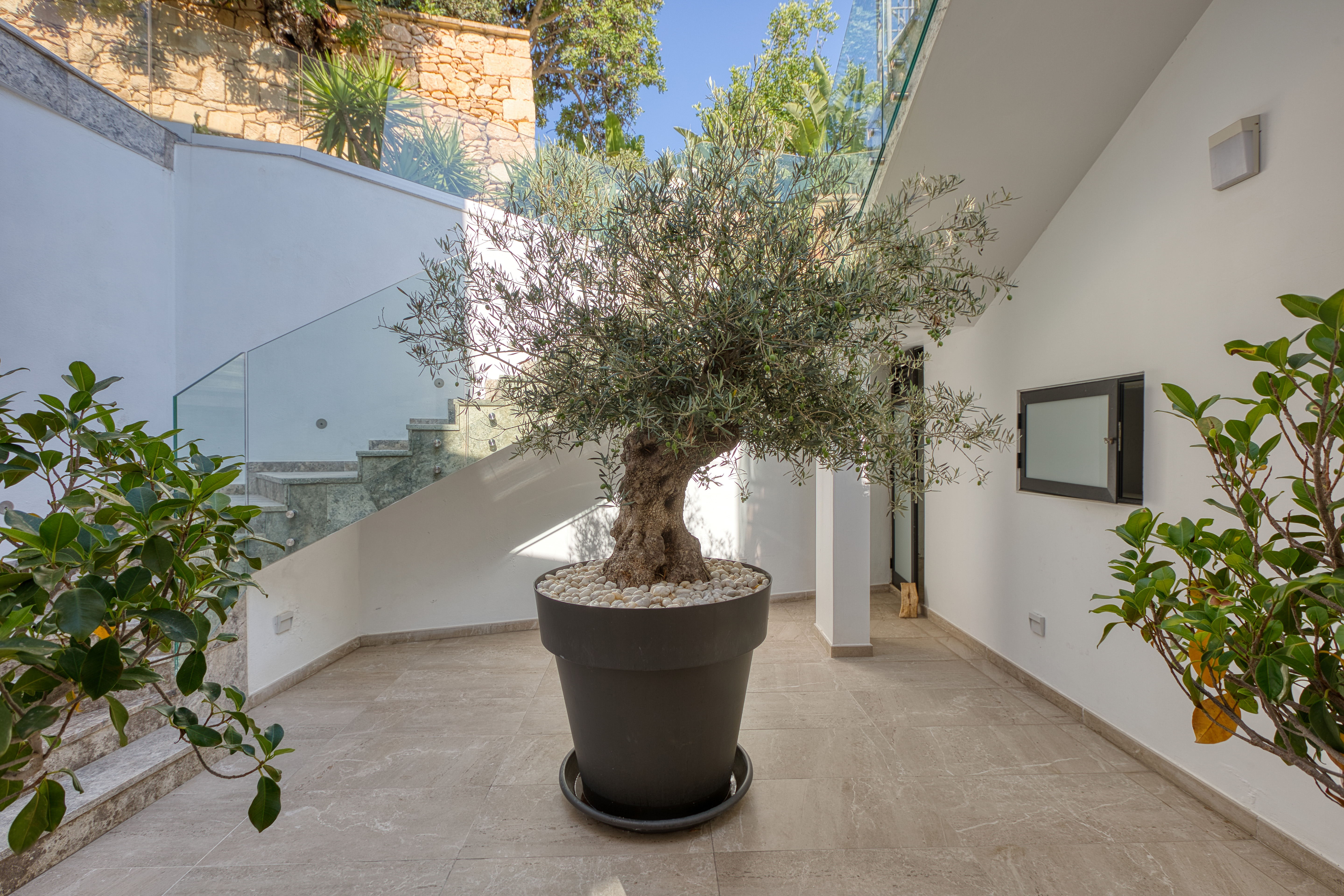  Contemporary Mediterranean Villa - 物件實景
