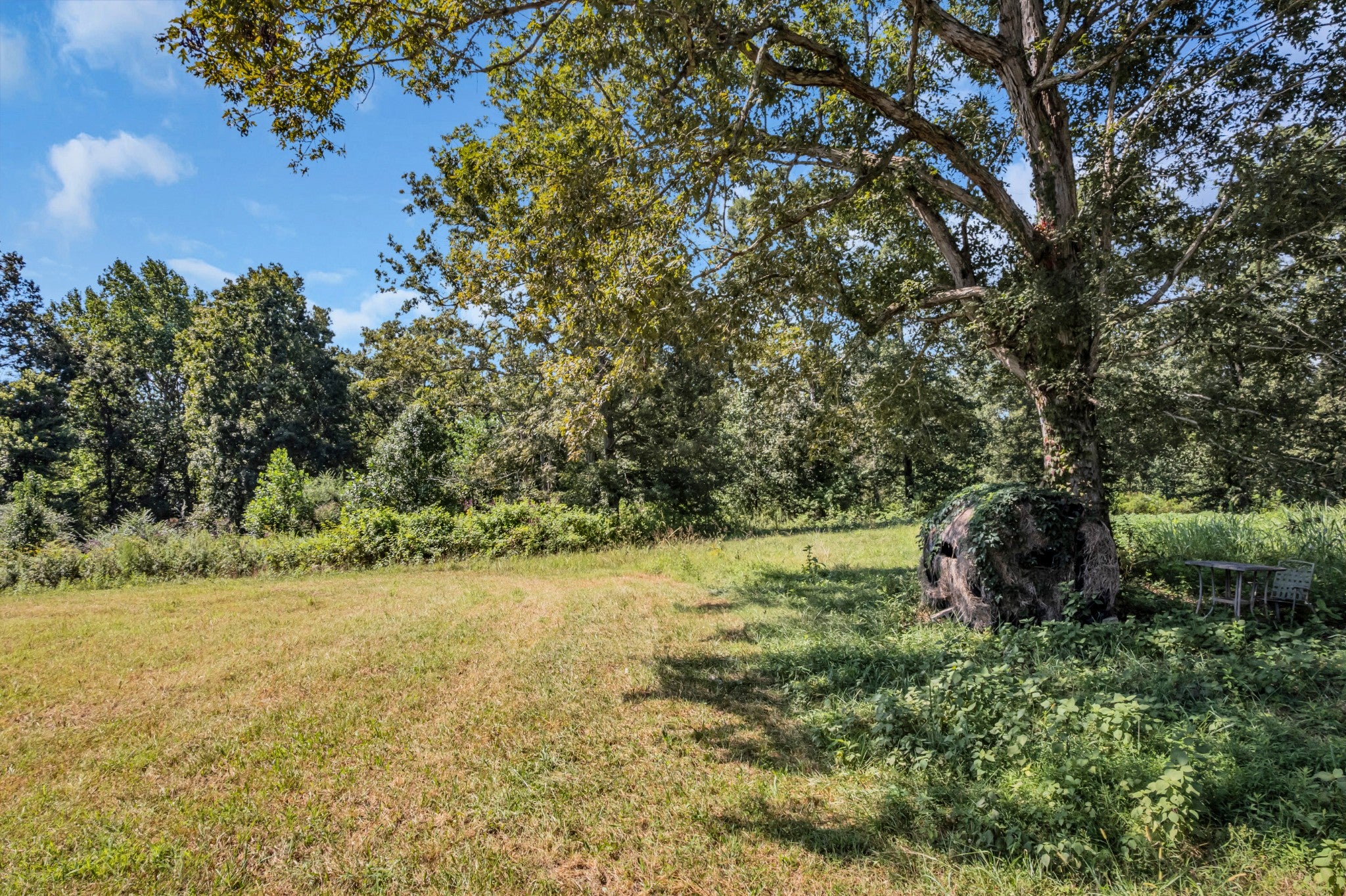 Smithville, Tennessee, 37166, United States, ,Land,For Sale,2006607