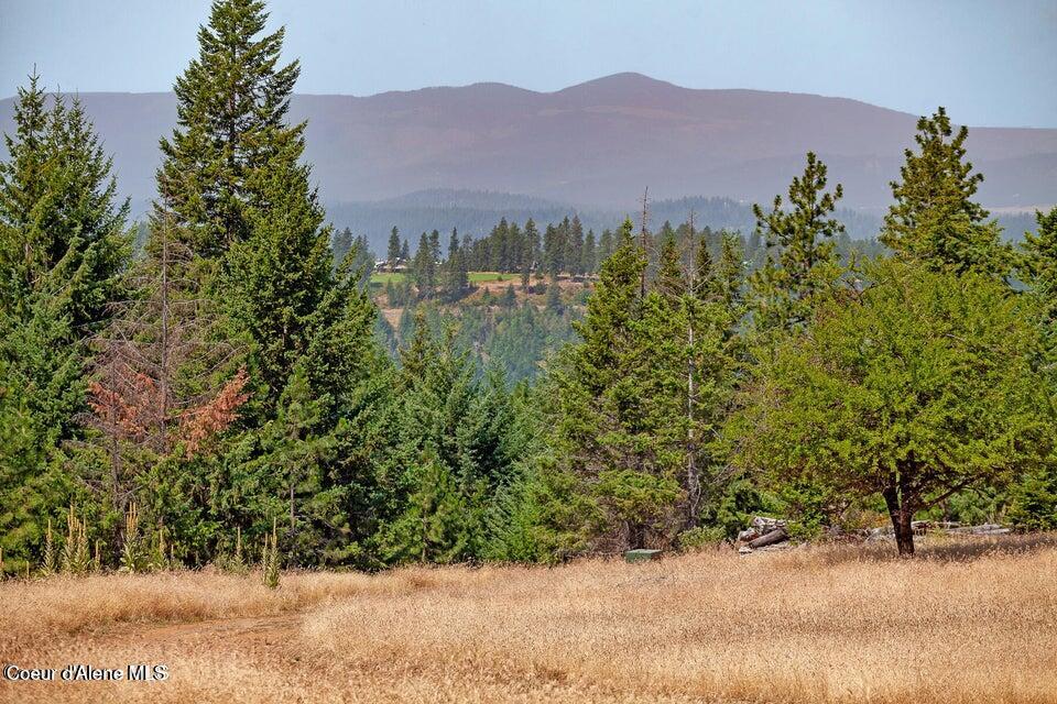 Harrison, Idaho, 83833, United States, ,Land,For Sale,2024065