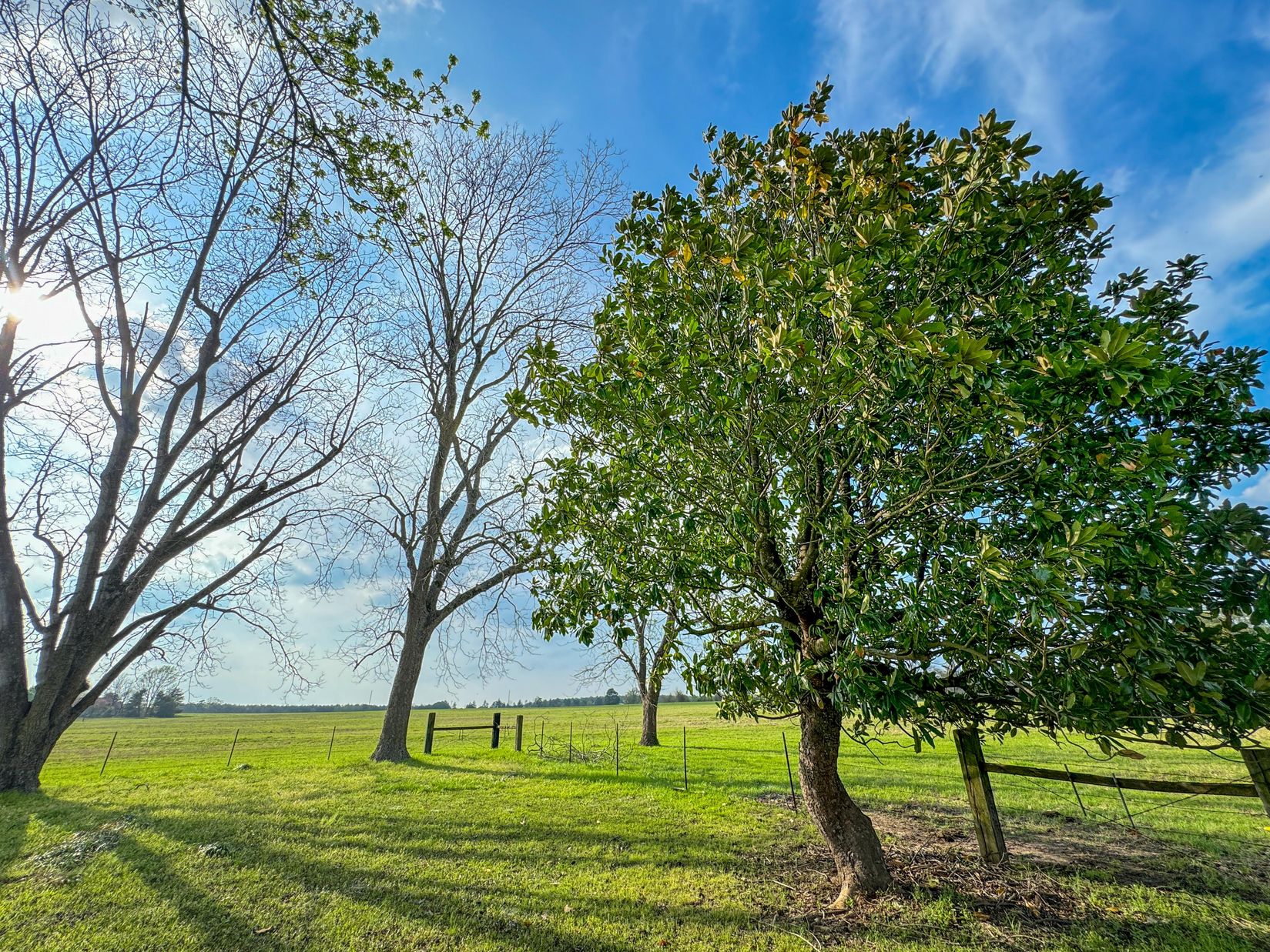 Bivins, Texas, 75555, United States, ,Residential,For Sale,1755933