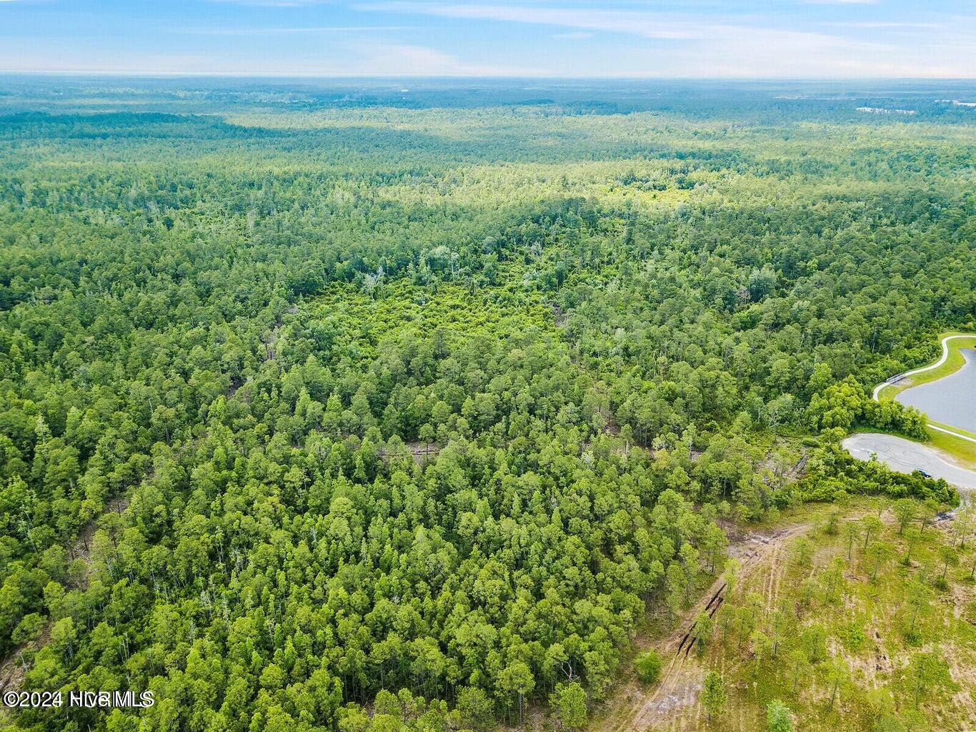 372 Greenview Ranches, Wilmington, North Carolina, 28411, United States, ,Land,For Sale,372 Greenview Ranches,1673662