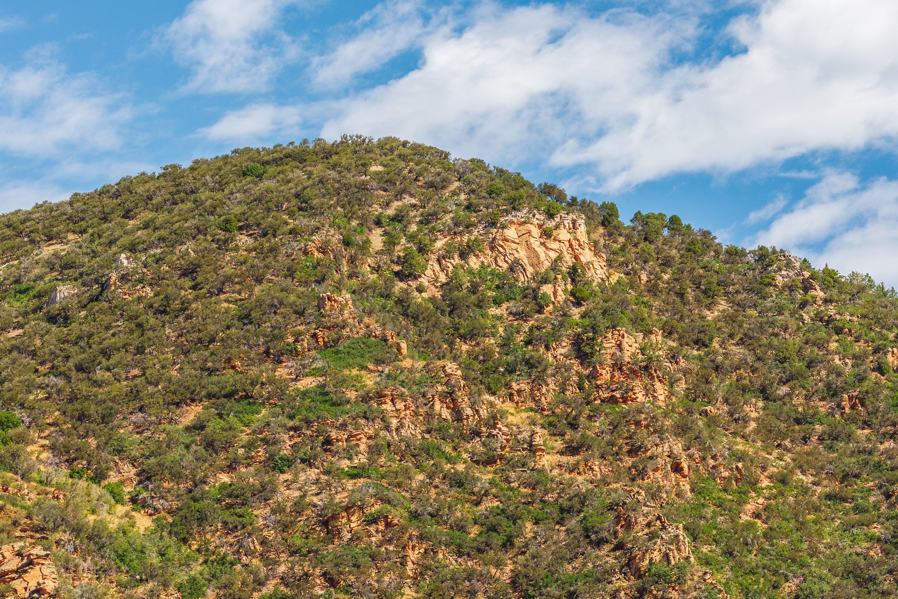  Rare Weber River Frontage Homesite - 物件實景