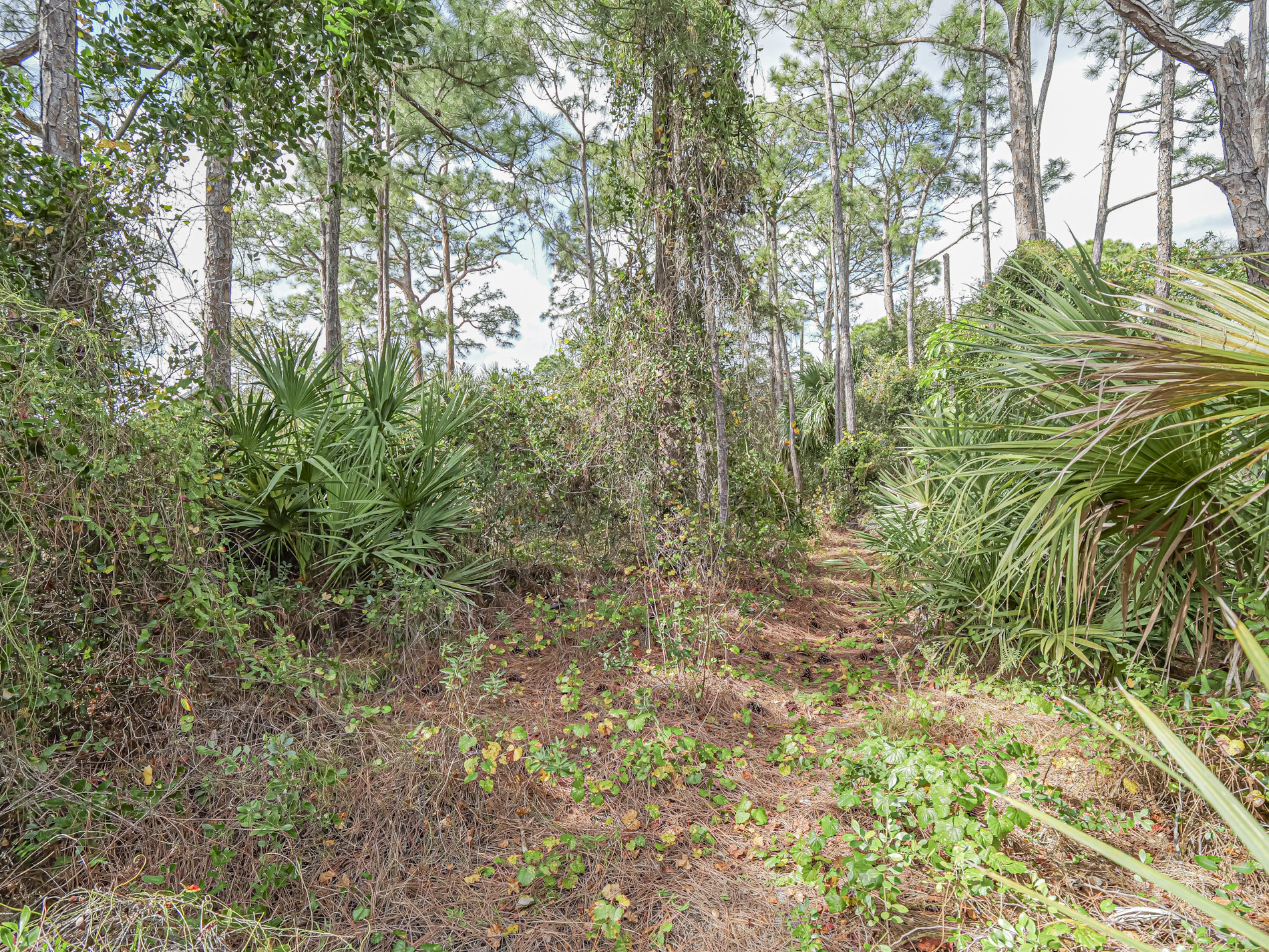  110 Marsh Street, Sebastian, FL, 32958 - 物件實景