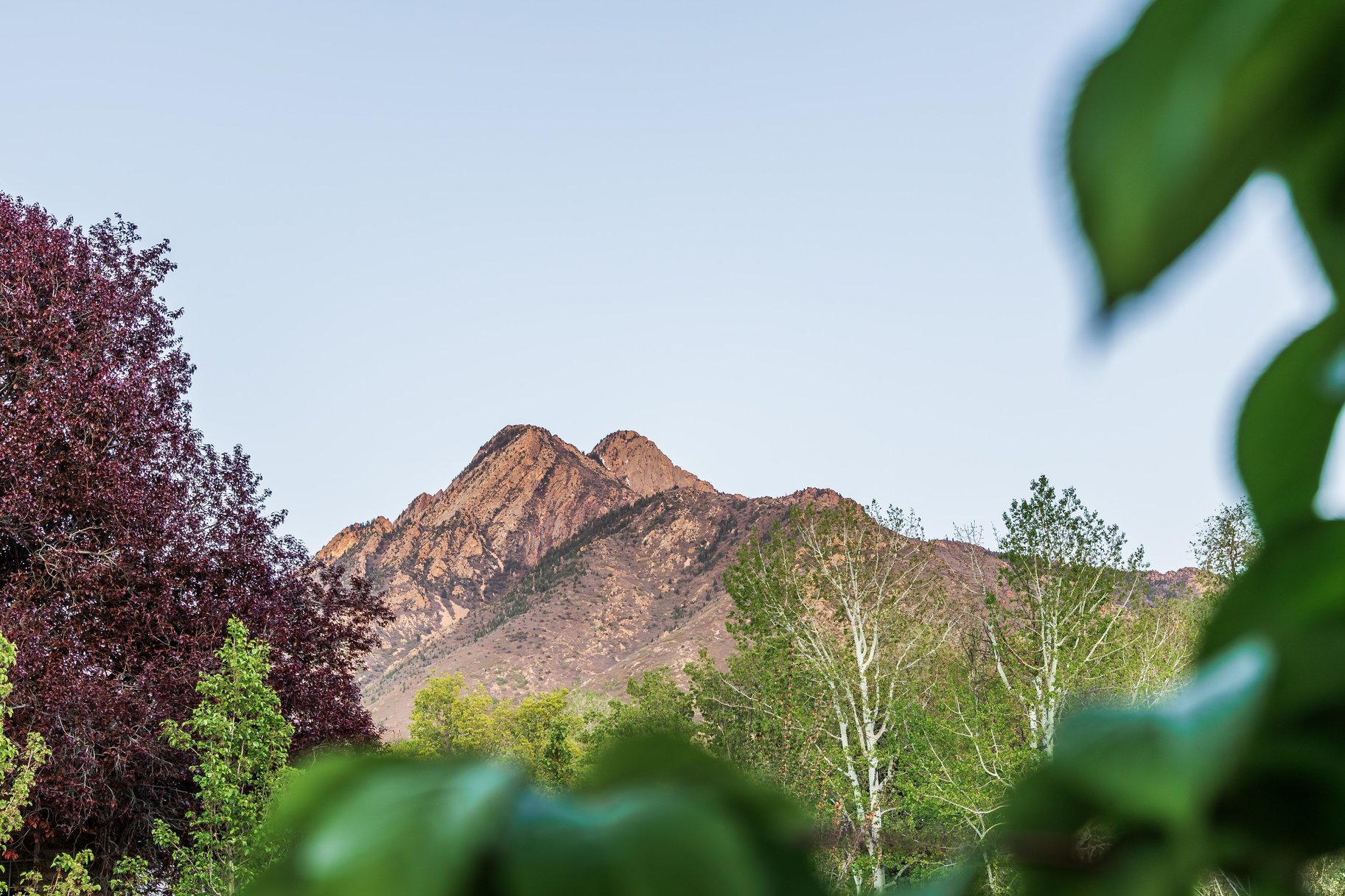  Timeless Colonial Charm Meets Refined Modern Luxury In This Storybook Retreat - 物件實景