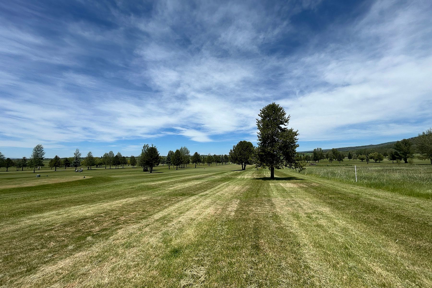  2.9 Acres Site-Alta WY Golf Course - 物件實景