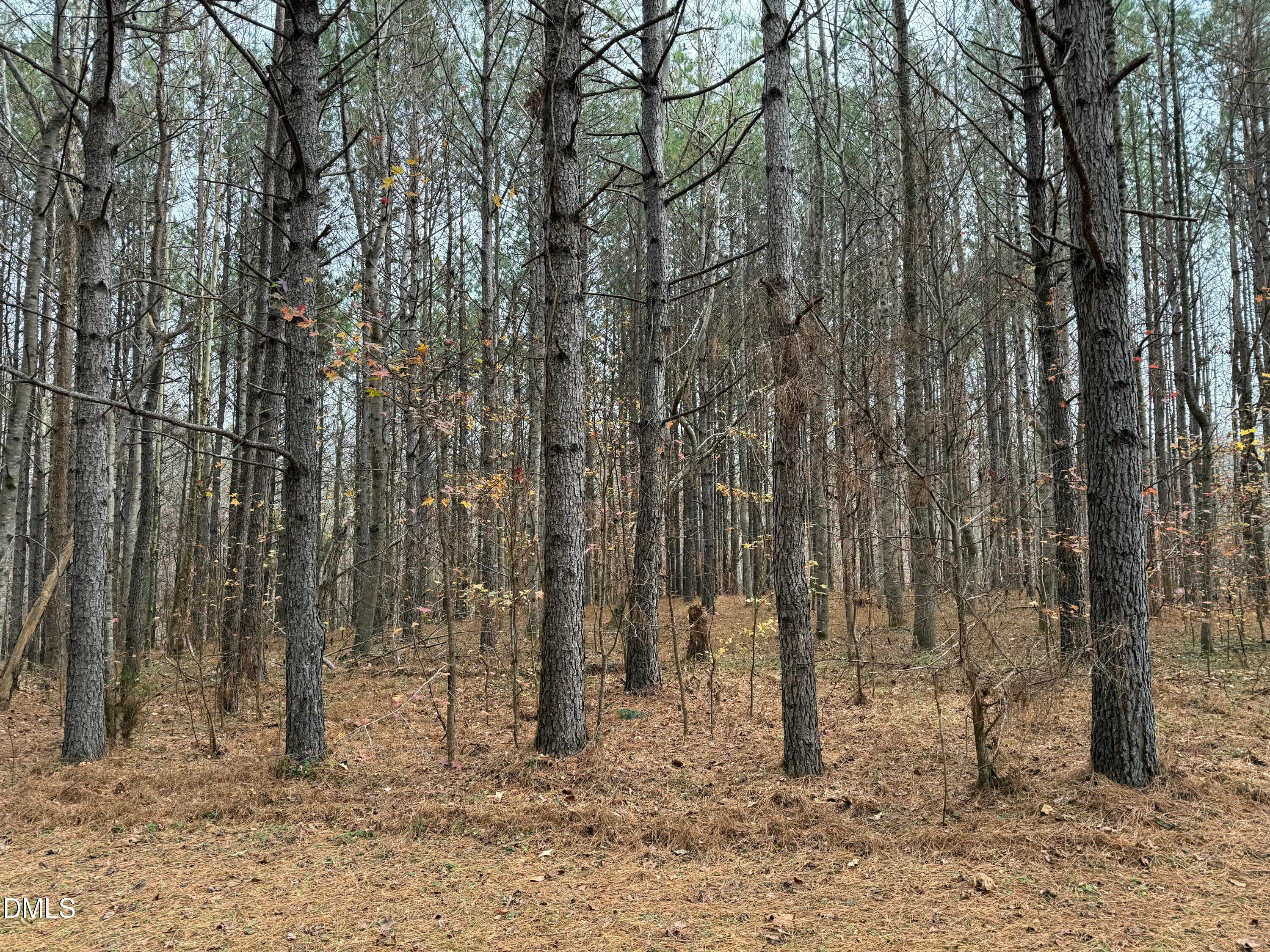 Oxford, North Carolina, 27565, United States, ,Land,For Sale,2000467