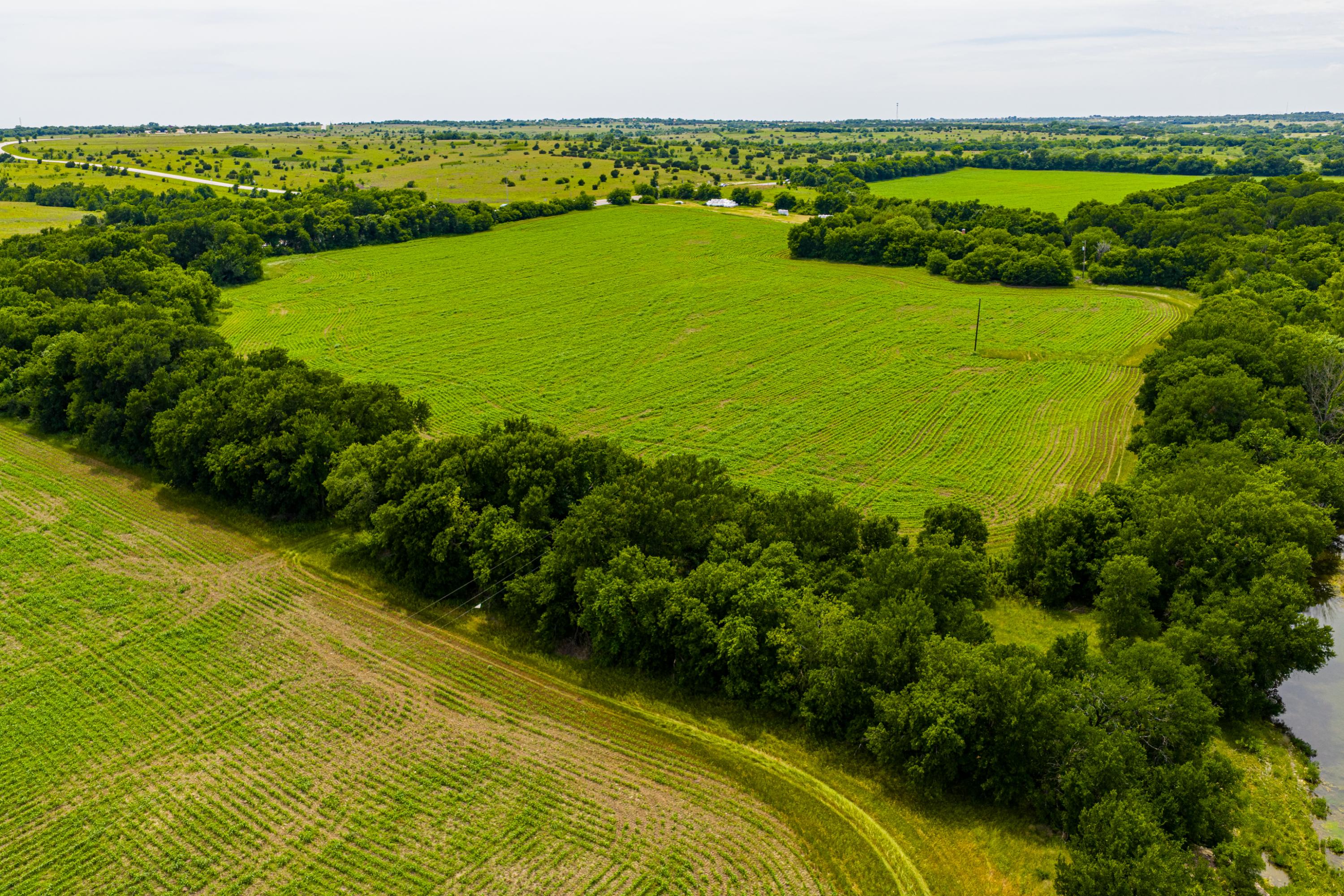  667 Acre Development Property With Two Miles Of Highway Frontage - 物件實景