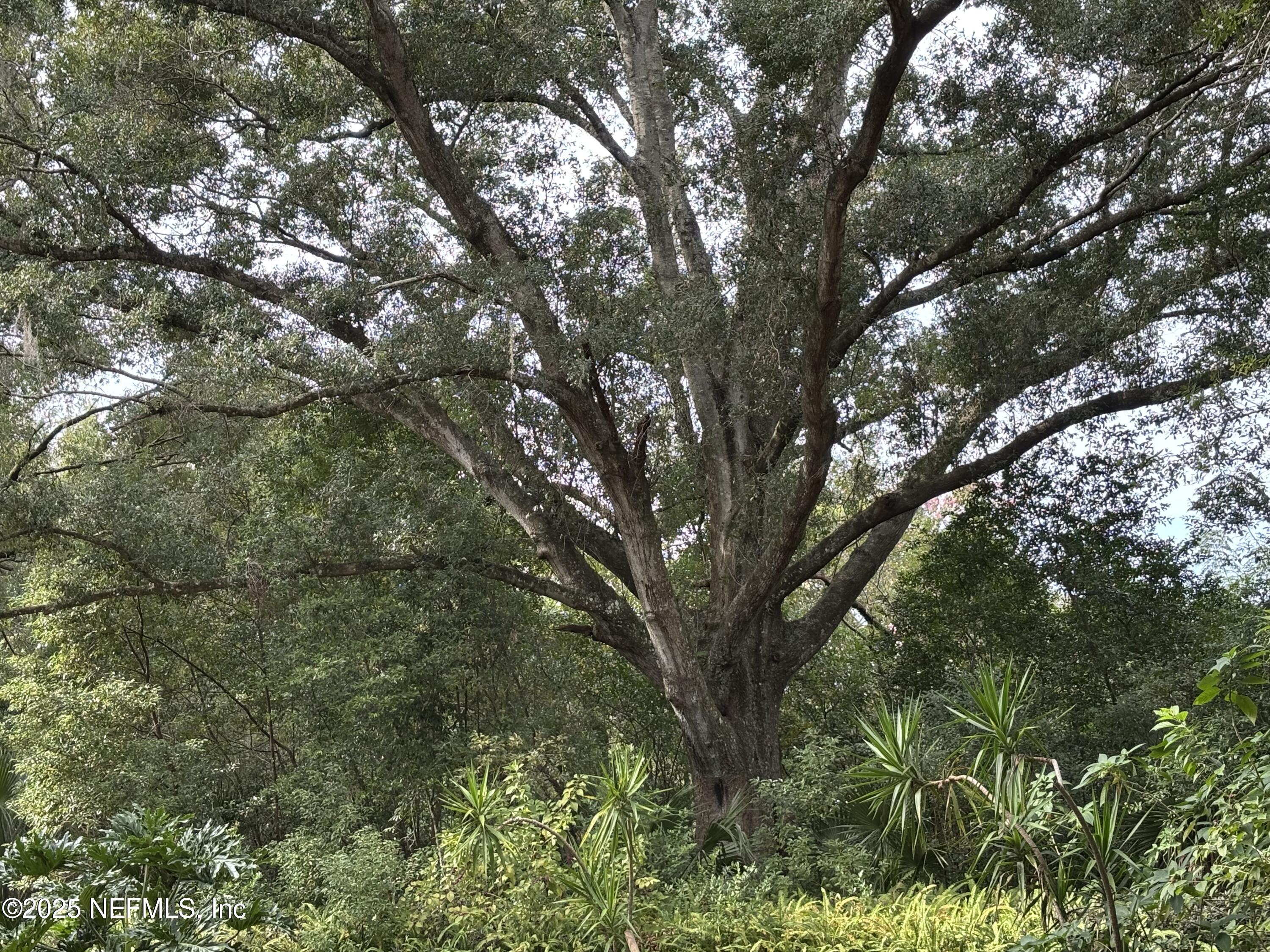 Apopka, Florida, 32227, United States, ,Land,For Sale,2003112