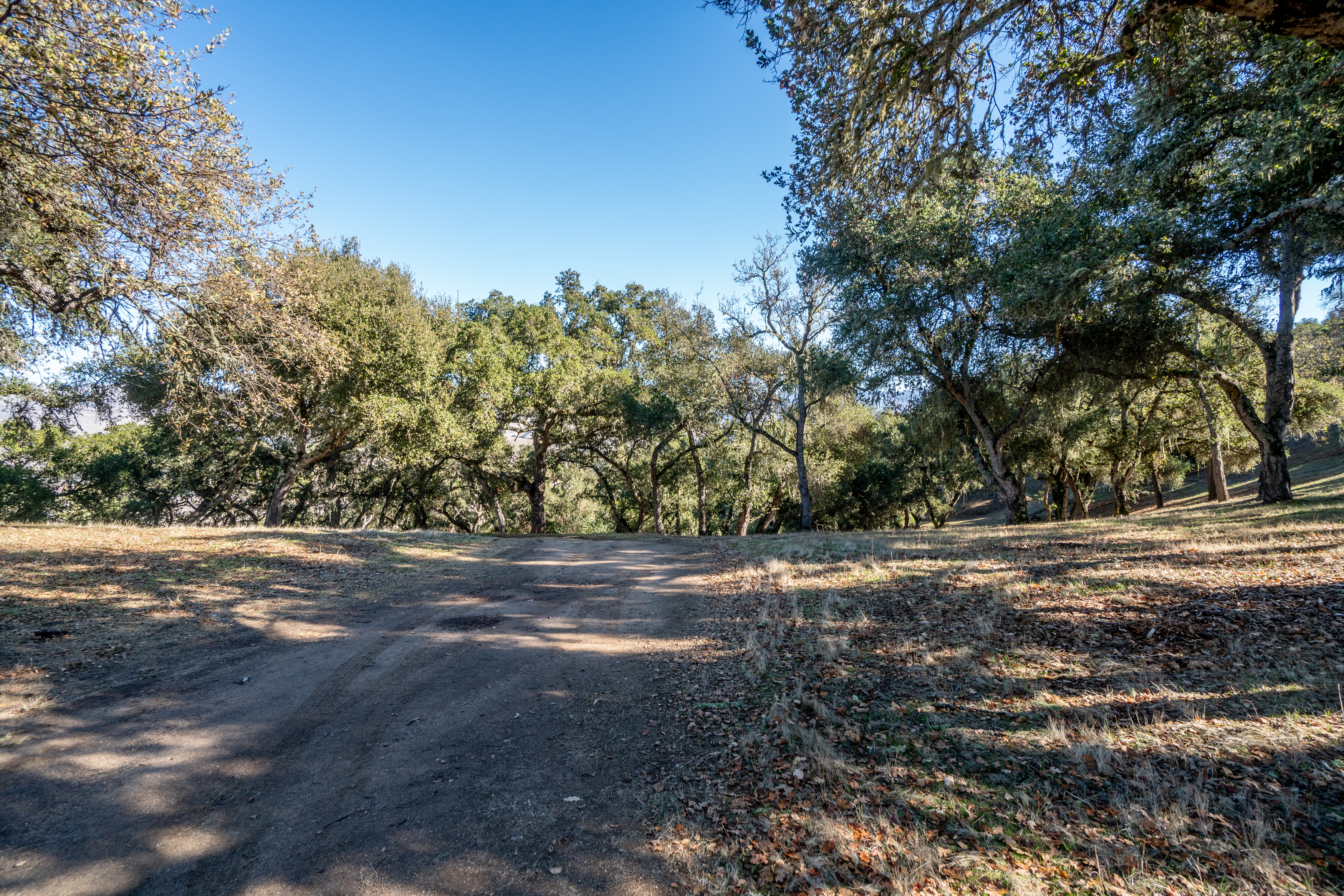  17114 Cachagua Road - 物件實景