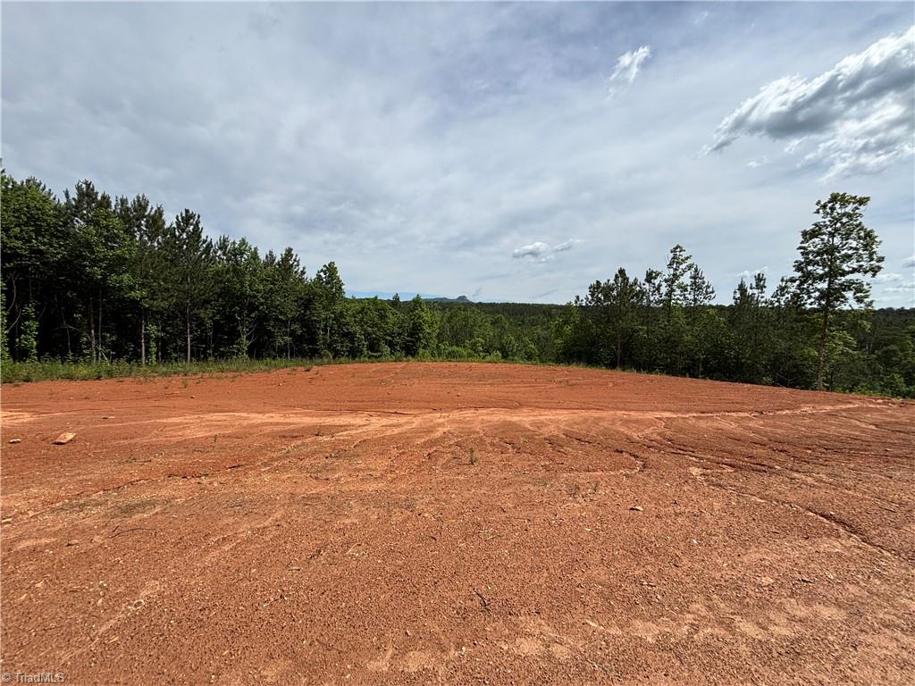 Pinnacle, North Carolina, 27043, United States, ,Land,For Sale,1829534