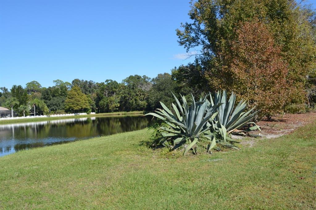 Sanford, Florida, 32773, United States, ,Land,For Sale,1987674