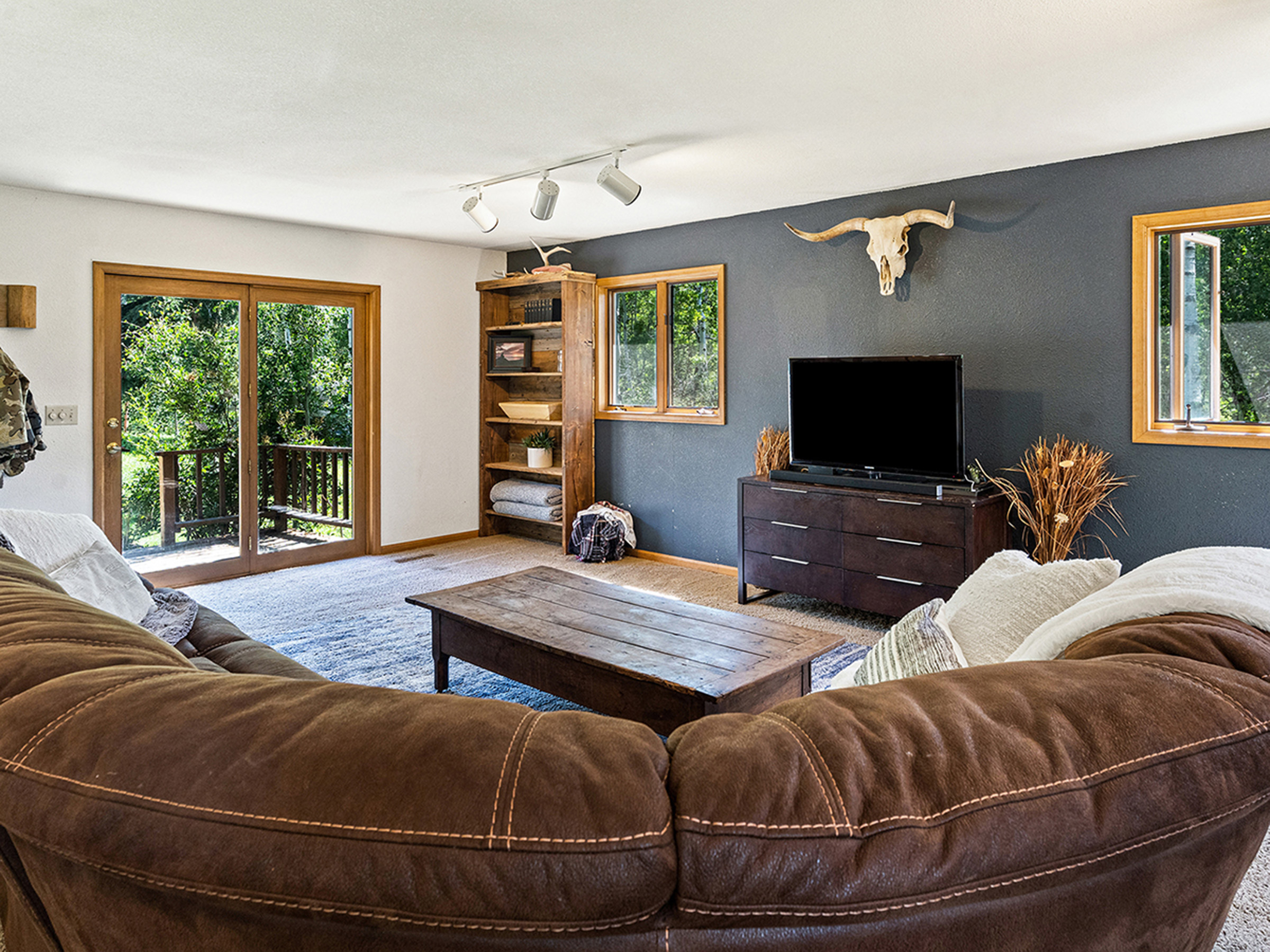  22610 Snowbird Trail, Oak Creek, CO, 80467 - 物件實景
