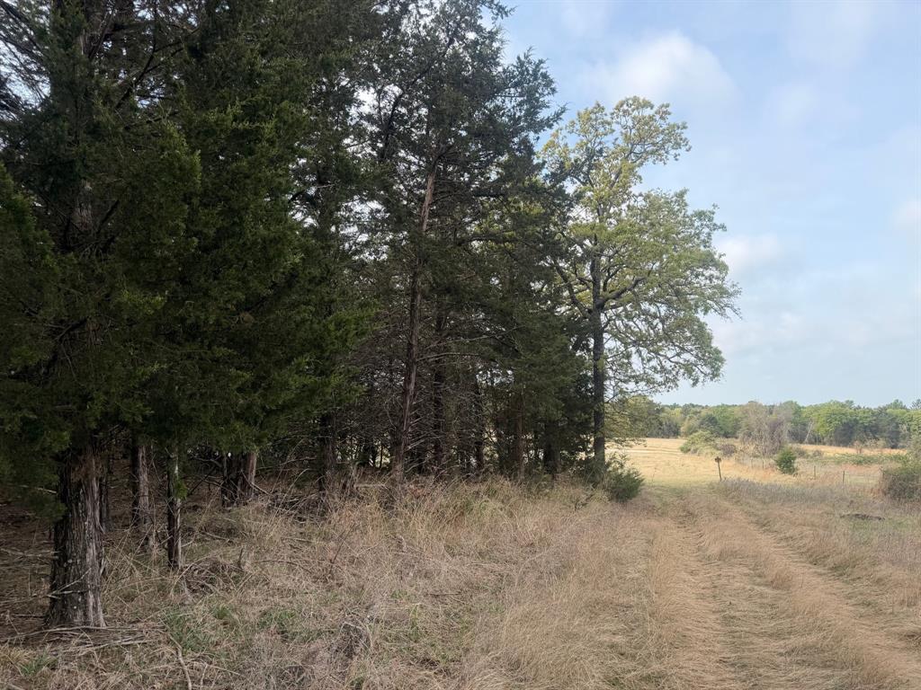Alvord, Texas, 76225, United States, 2 Bedrooms Bedrooms, ,2 BathroomsBathrooms,Residential,For Sale,2033233