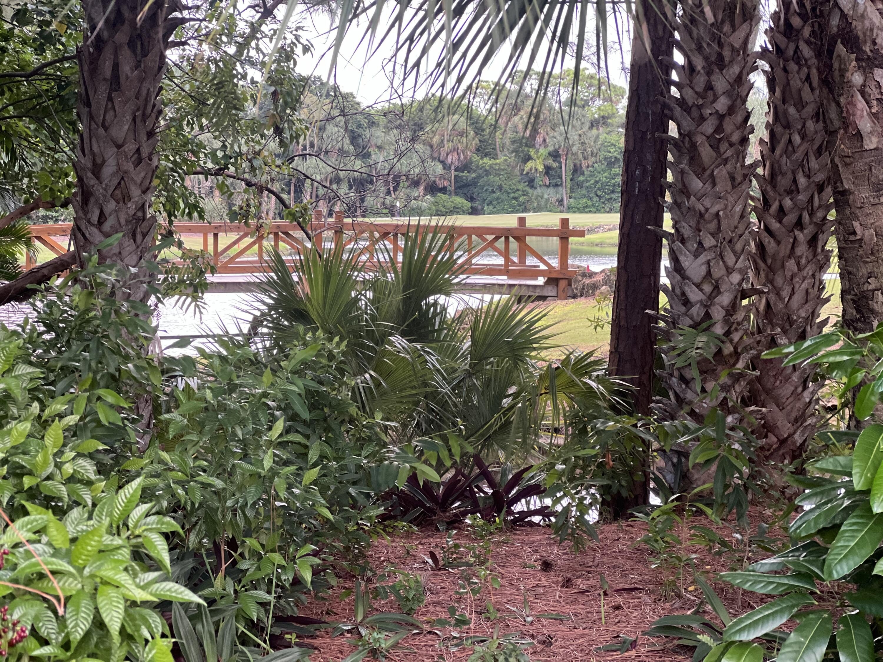 West Palm Beach, Florida, 33411, United States, 3 Bedrooms Bedrooms, ,2 BathroomsBathrooms,Residential,For Sale,1977779