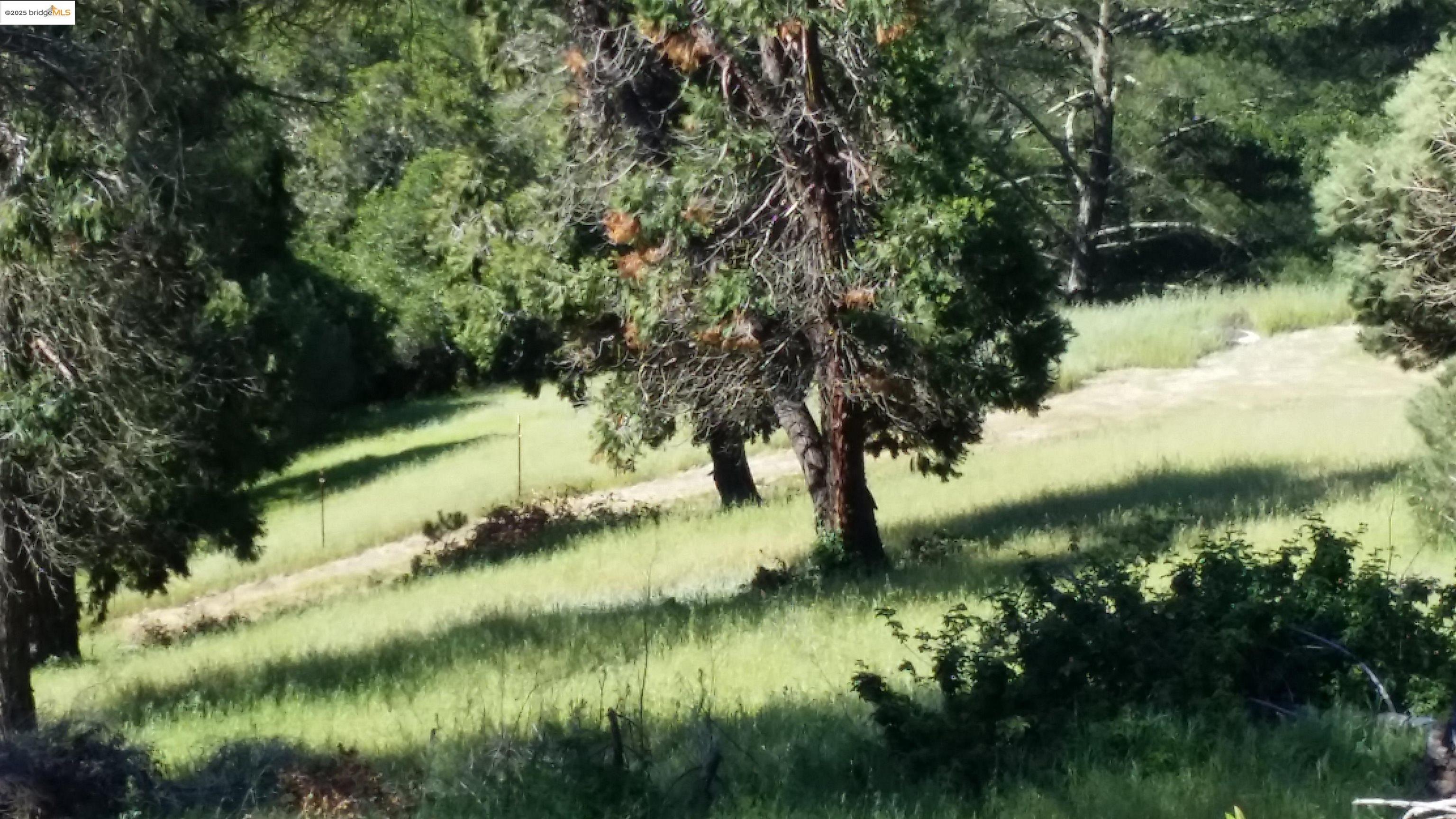 Oakland, California, 94605, United States, ,Land,For Sale,1906465