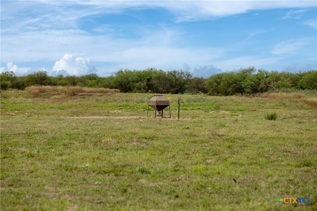 Tivoli, Texas, 77990, United States, ,Land,For Sale,1996181
