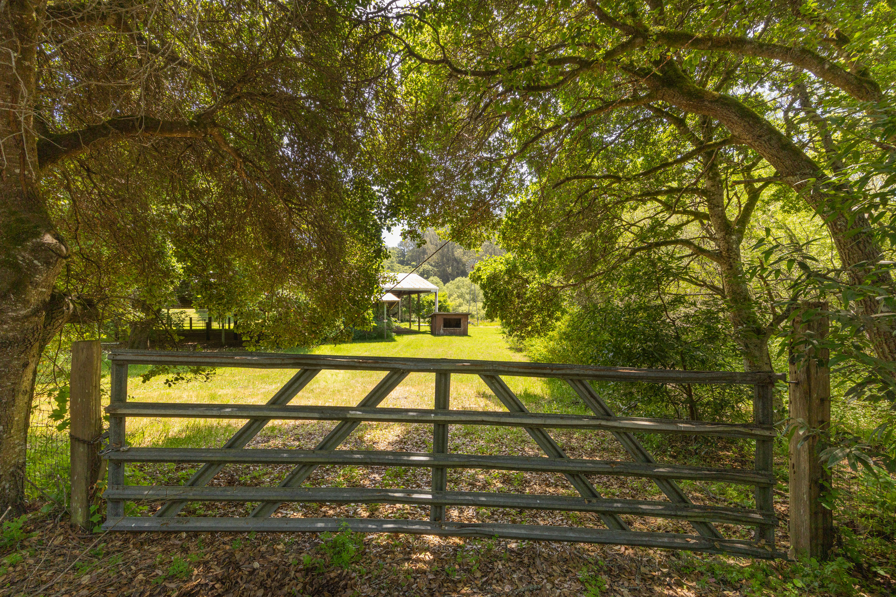  Dogtown Farmhouse - 物件實景