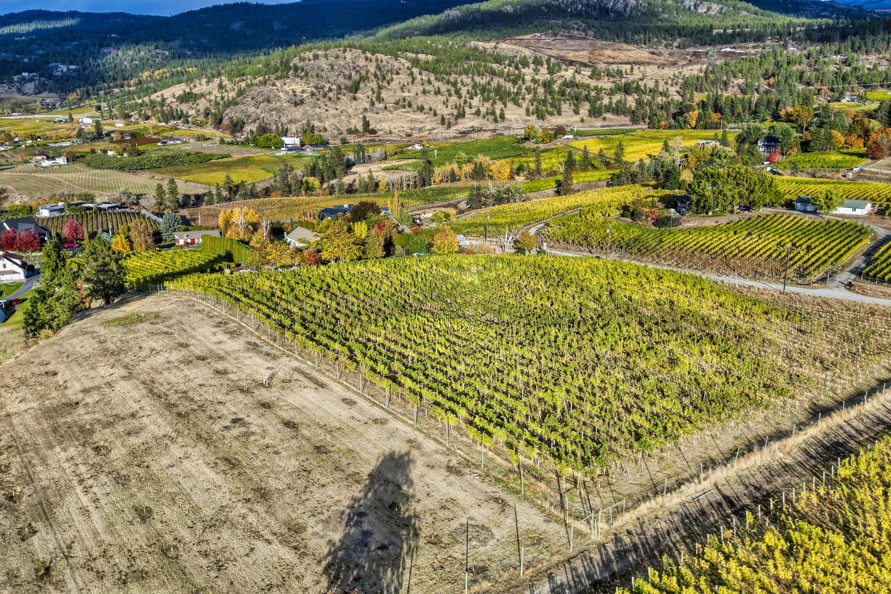  Naramata Bench Vineyard Estate - 物件實景