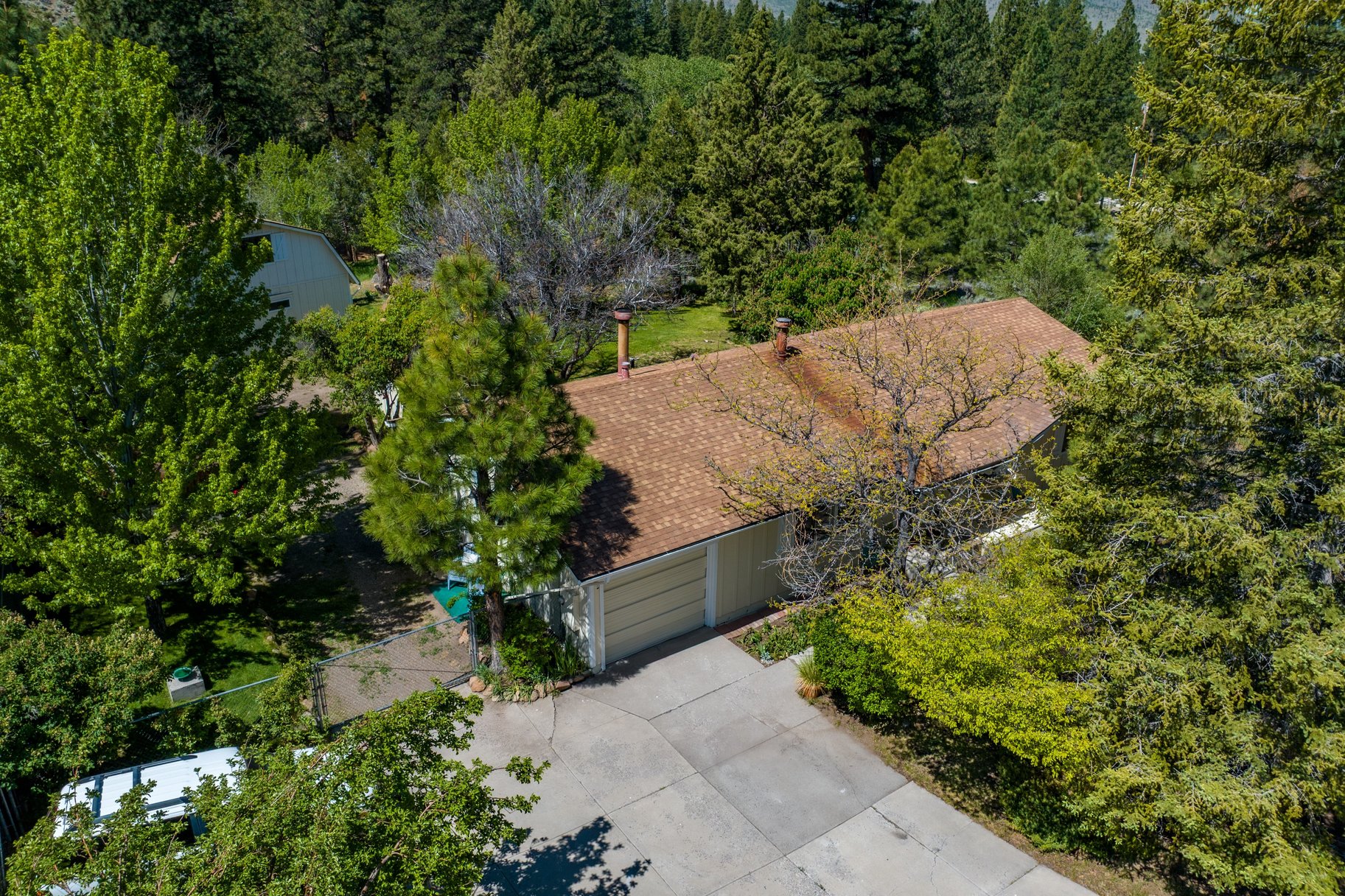  Sweet home on 1.24 acres in Sierra Brooks - 物件實景