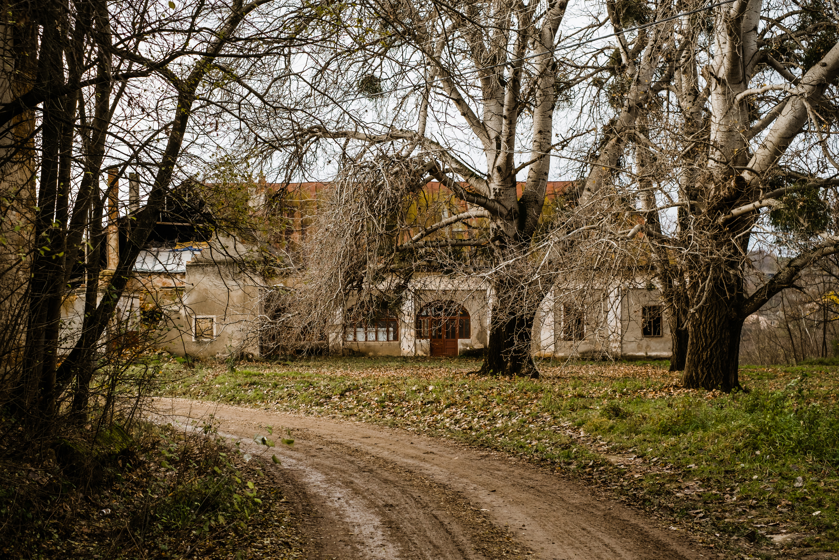  The Bónis Manor from Cubulcut - A Retreat of the Hungarian Crown - 物件實景