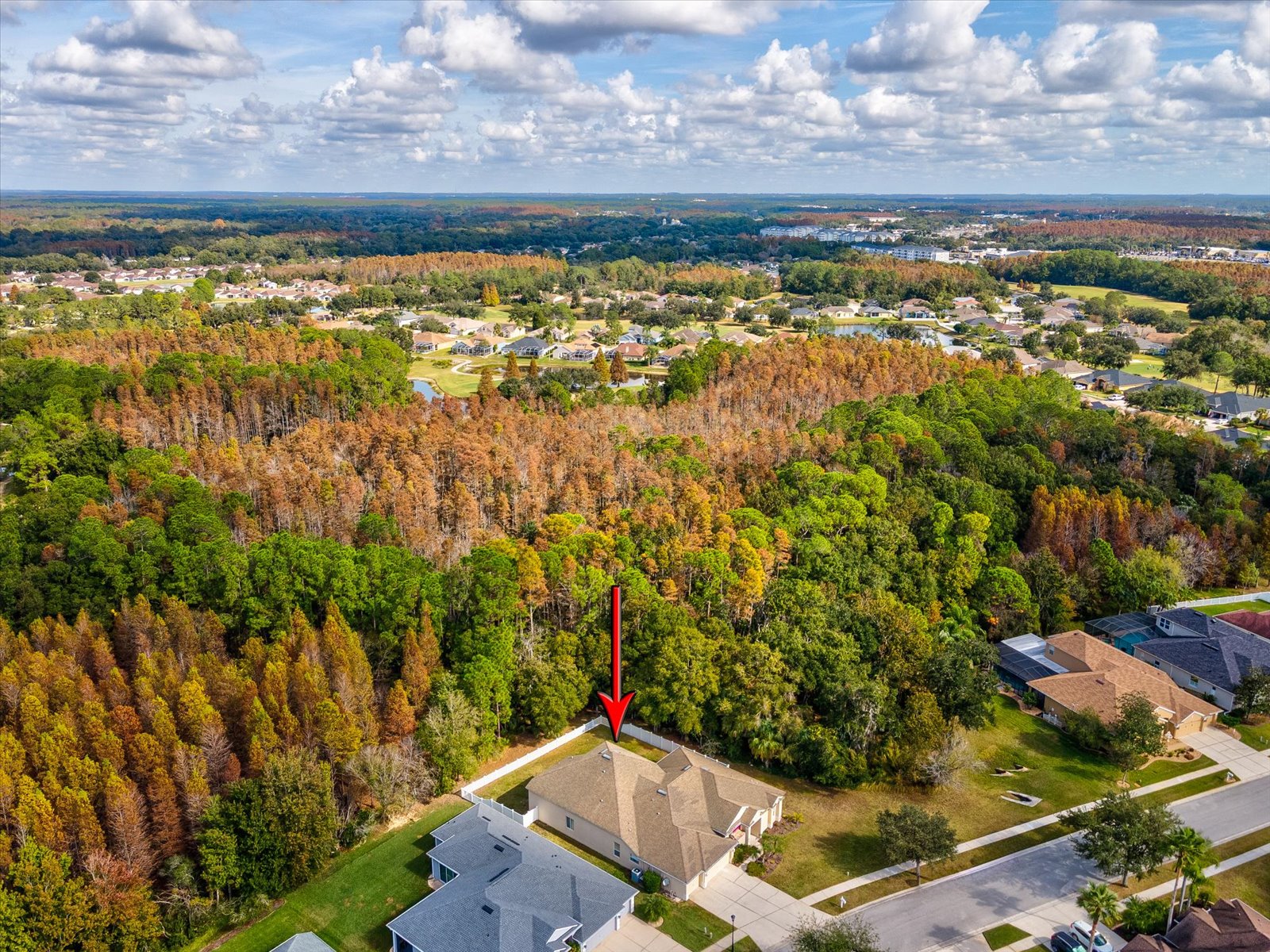 Wesley Chapel, Florida, 33544, United States, 4 Bedrooms Bedrooms, ,5 BathroomsBathrooms,Residential,For Sale,2000097