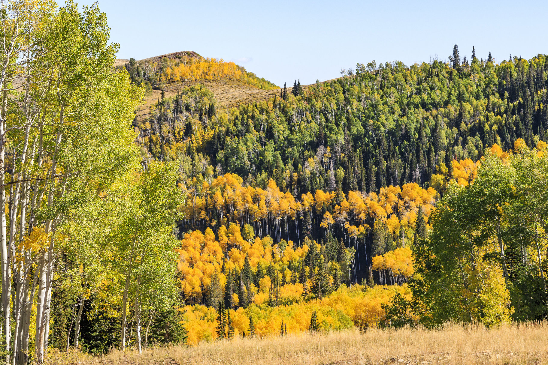  Incredible 28 Acre Estate Lot in the Colony at White Pine Canyon - 物件實景