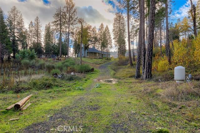 Oroville, California, 95965, United States, 3 Bedrooms Bedrooms, ,3 BathroomsBathrooms,Residential,For Sale,1996477