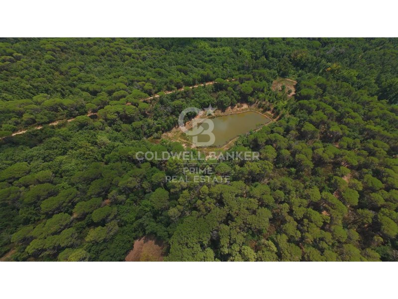 Caldes de Malavella, Catalonia, ES, 5 Bedrooms Bedrooms, ,4 BathroomsBathrooms,Residential,For Sale,1907620