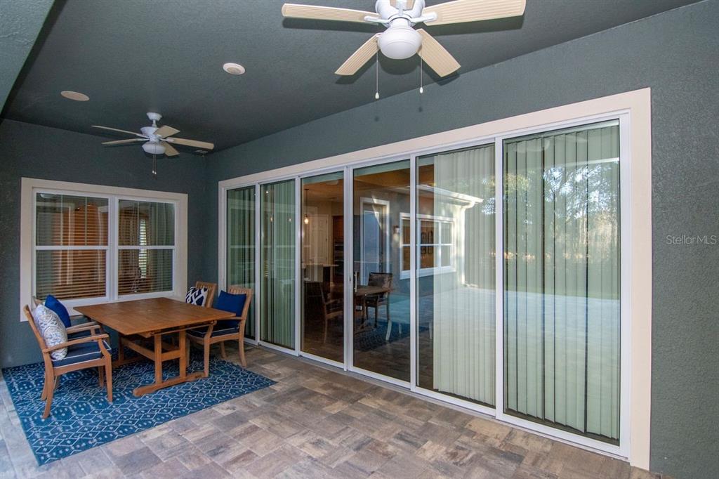 Land O Lakes, Florida, 34638, United States, 5 Bedrooms Bedrooms, ,4 BathroomsBathrooms,Residential,For Sale,2003047