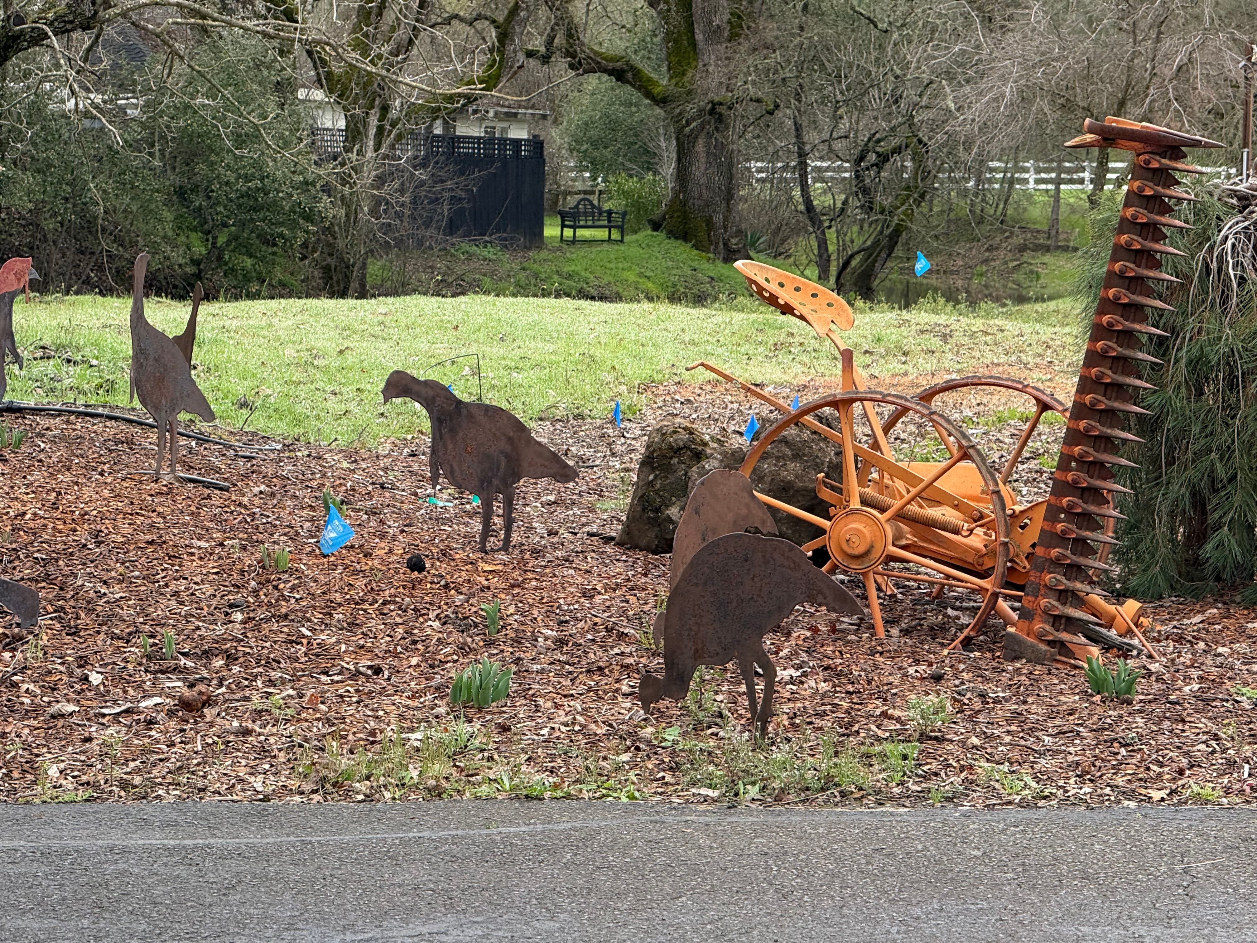  Wine Country Ranch Living - 物件實景