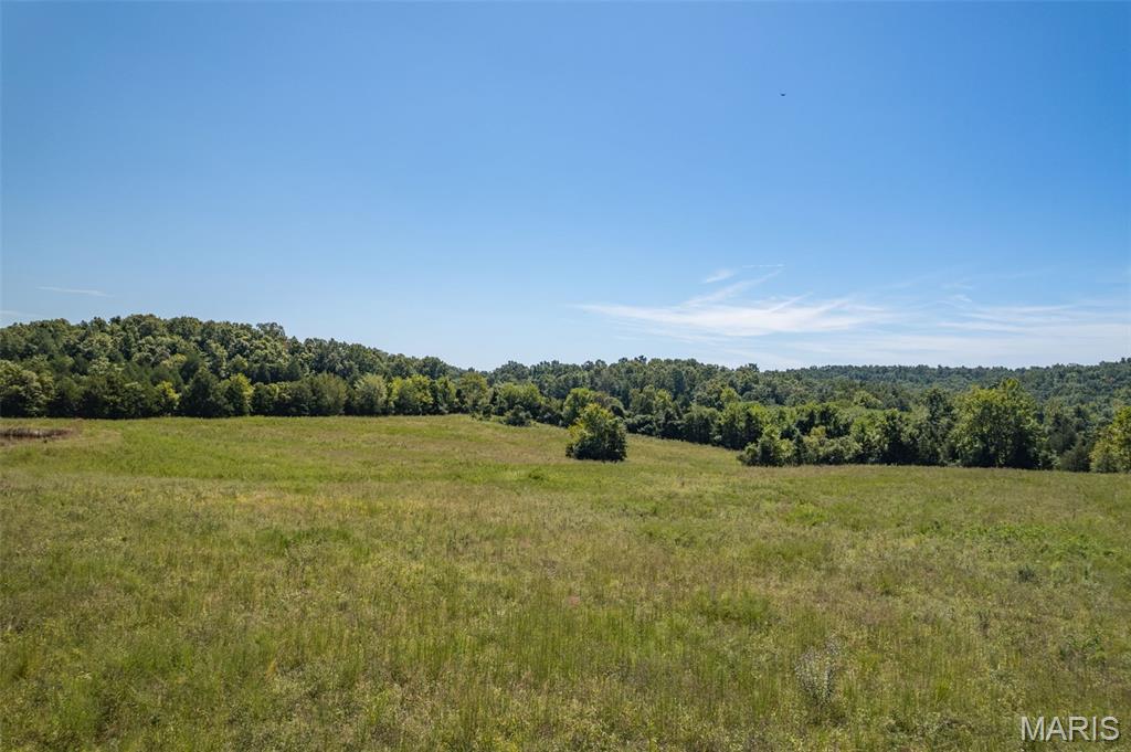 1121 Madison 92103, Fredericktown, Missouri, 63645, United States, 4 Bedrooms Bedrooms, ,4 BathroomsBathrooms,Residential,For Sale,1121 Madison 92103,1664314