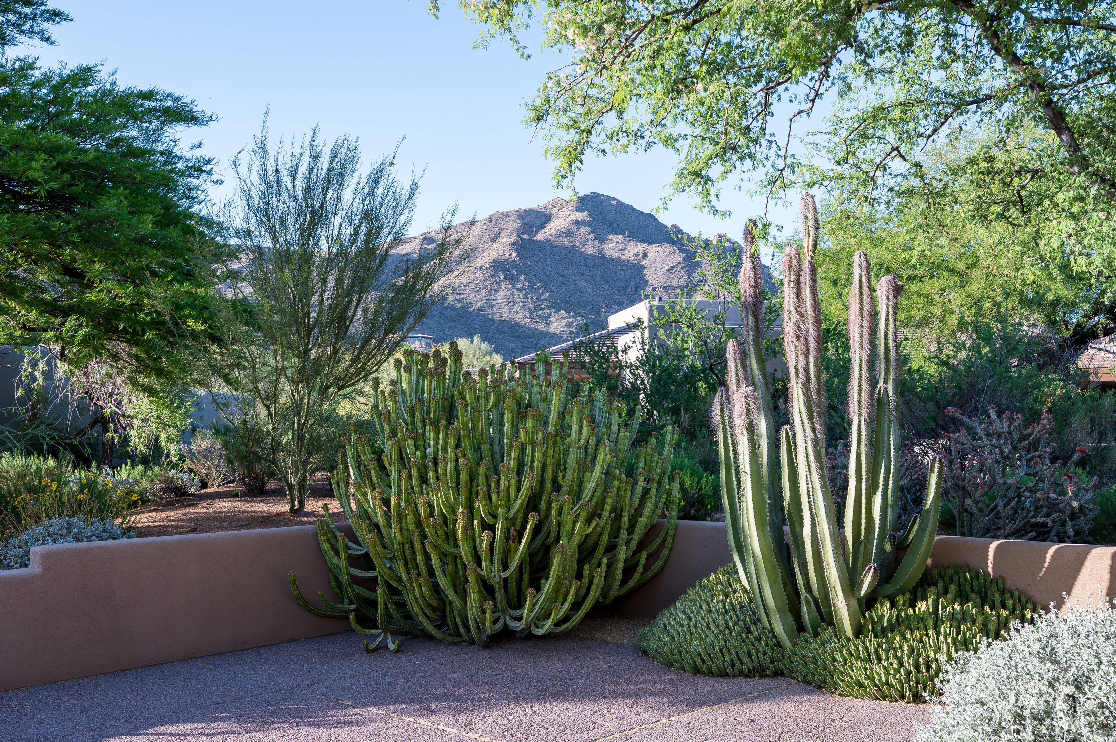  41509 N 106th Street  Scottsdale, AZ - 物件實景