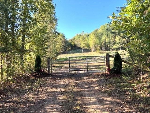 Ringgold, Georgia, 30736, United States, ,Residential,For Sale,1958114