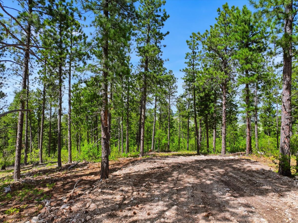 Spearfish, South Dakota, 57783, United States, ,Land,For Sale,2048171