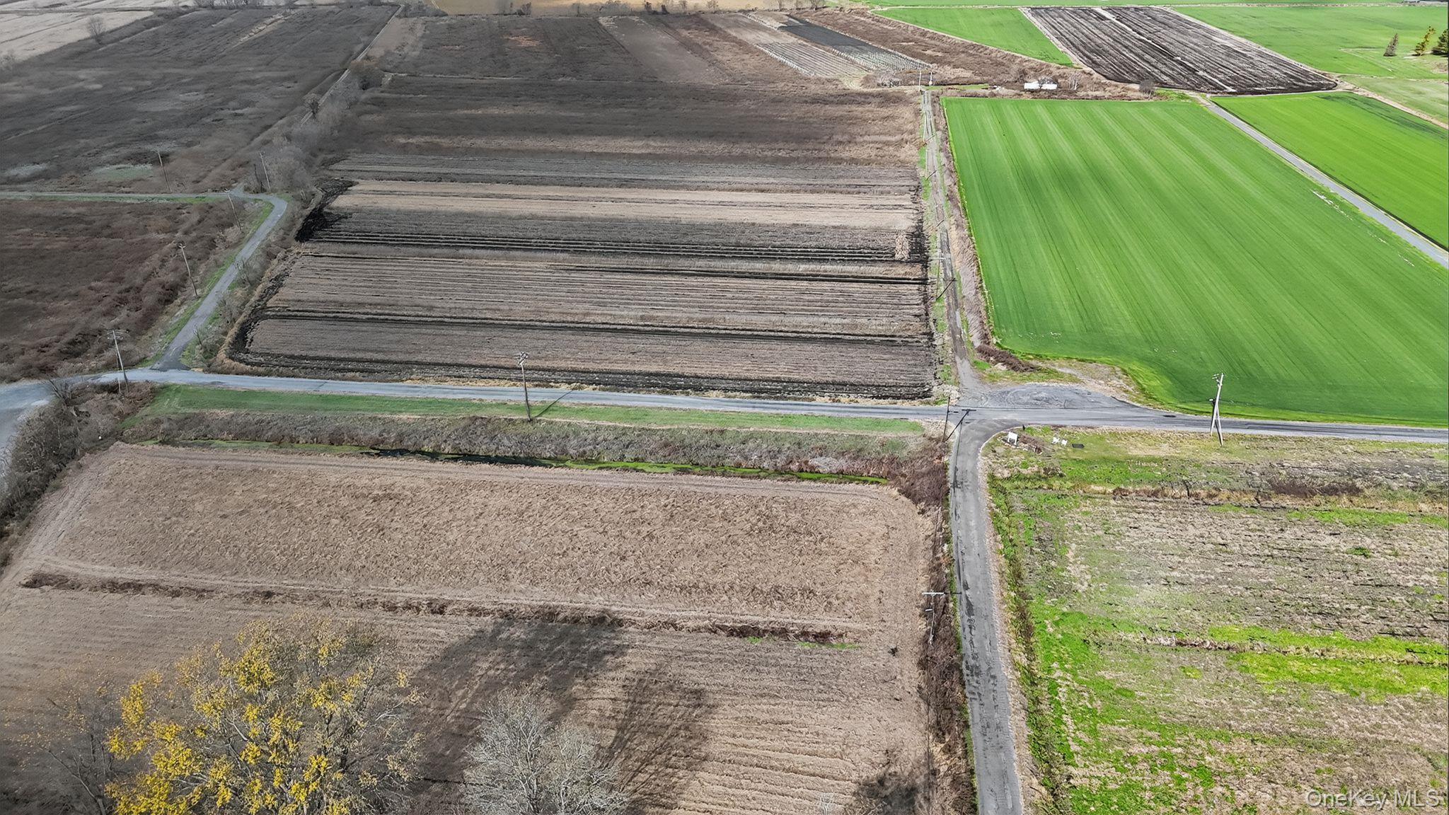 Pine Island, New York, 10969, United States, 3 Bedrooms Bedrooms, ,2 BathroomsBathrooms,Residential,For Sale,1988857