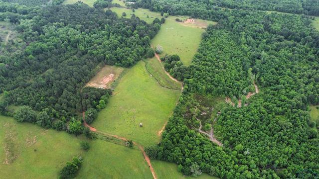 Henderson, Texas, 75654, United States, ,Land,For Sale,1865507