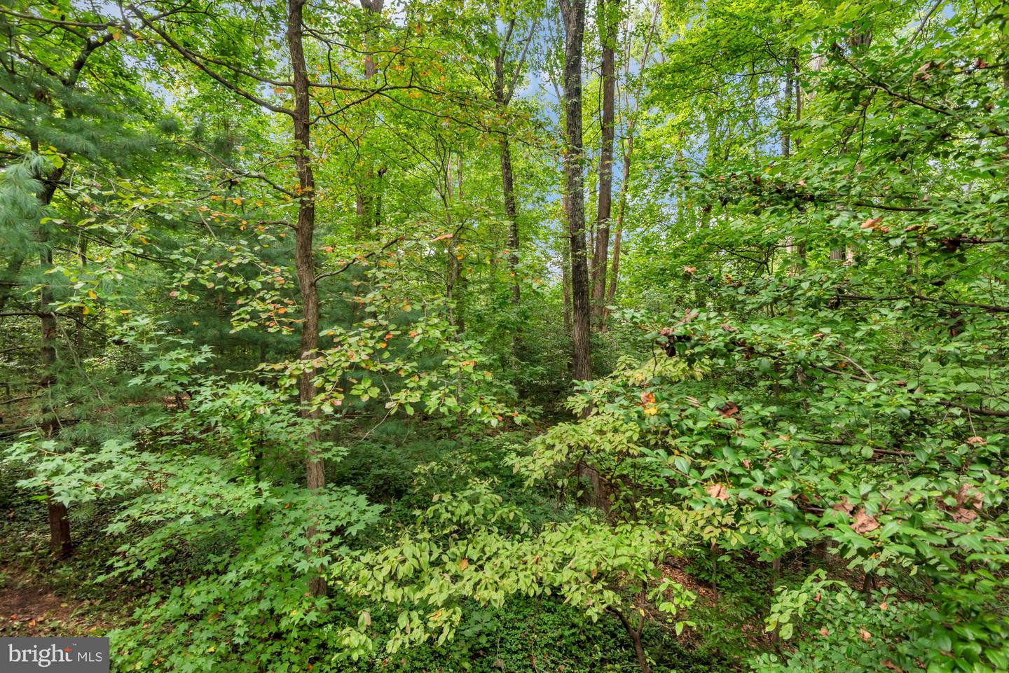 Annapolis, Maryland, 21409, United States, 4 Bedrooms Bedrooms, ,5 BathroomsBathrooms,Residential,For Sale,1947089