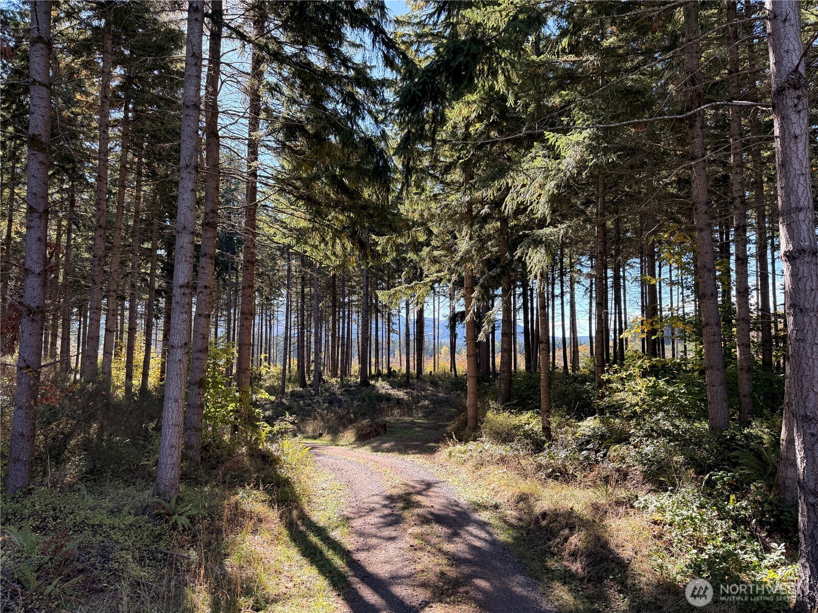 Rainier, Washington, 98576, United States, ,Land,For Sale,1998419