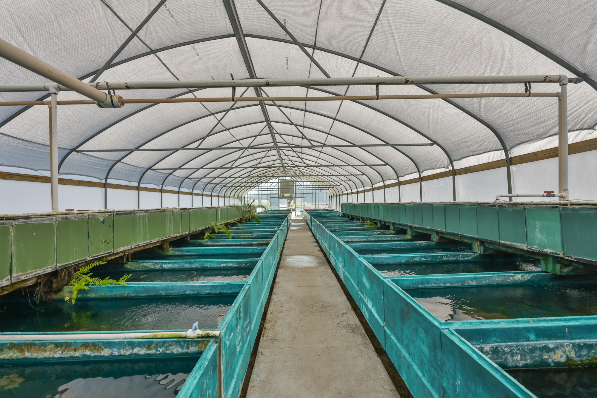 Wimauma, Florida, 33598, United States, 3 Bedrooms Bedrooms, ,2 BathroomsBathrooms,Residential,For Sale,2016610